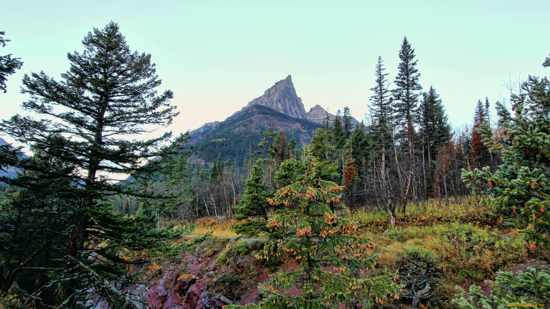 природа, горы, простор