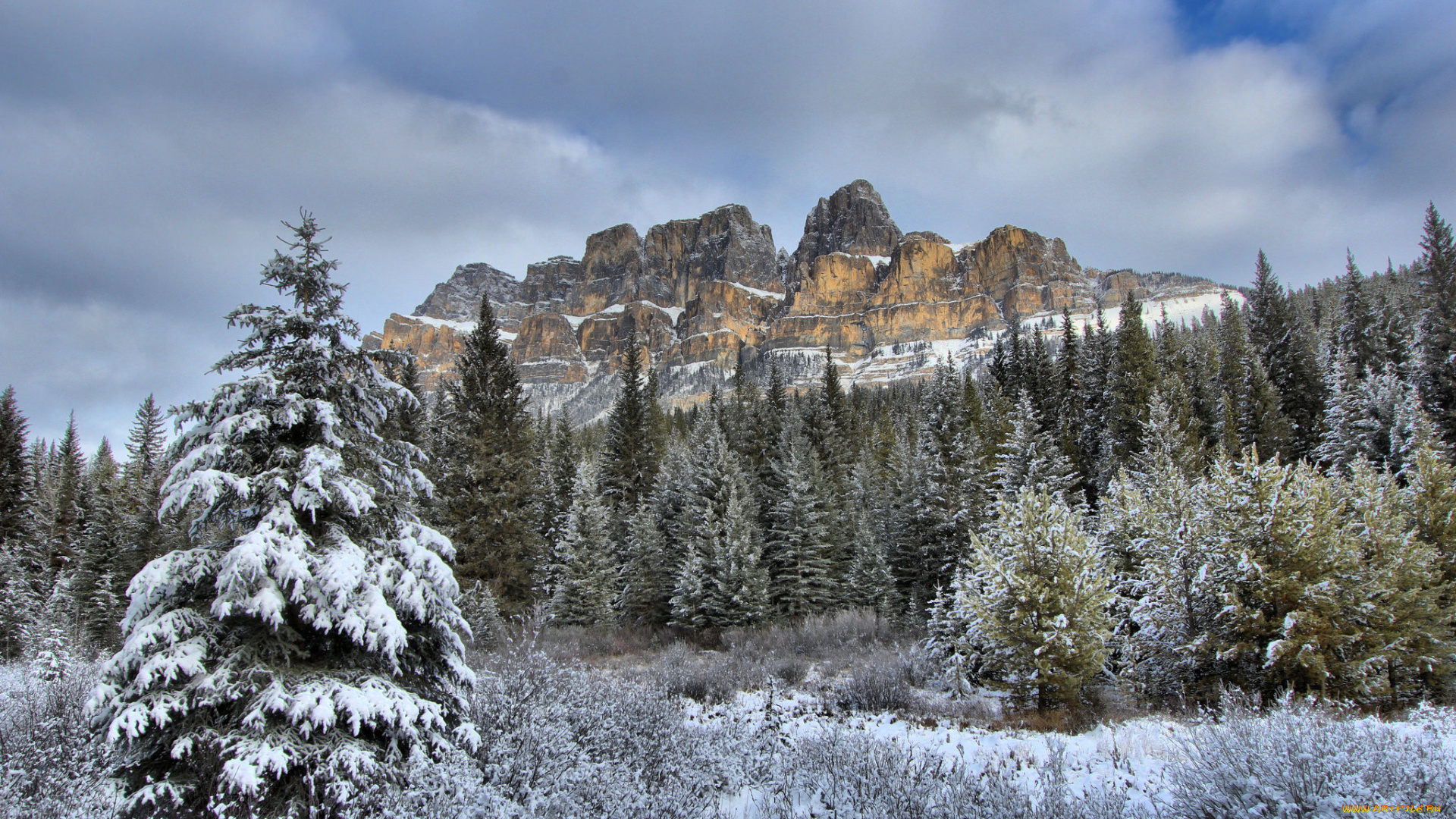 природа, горы, простор