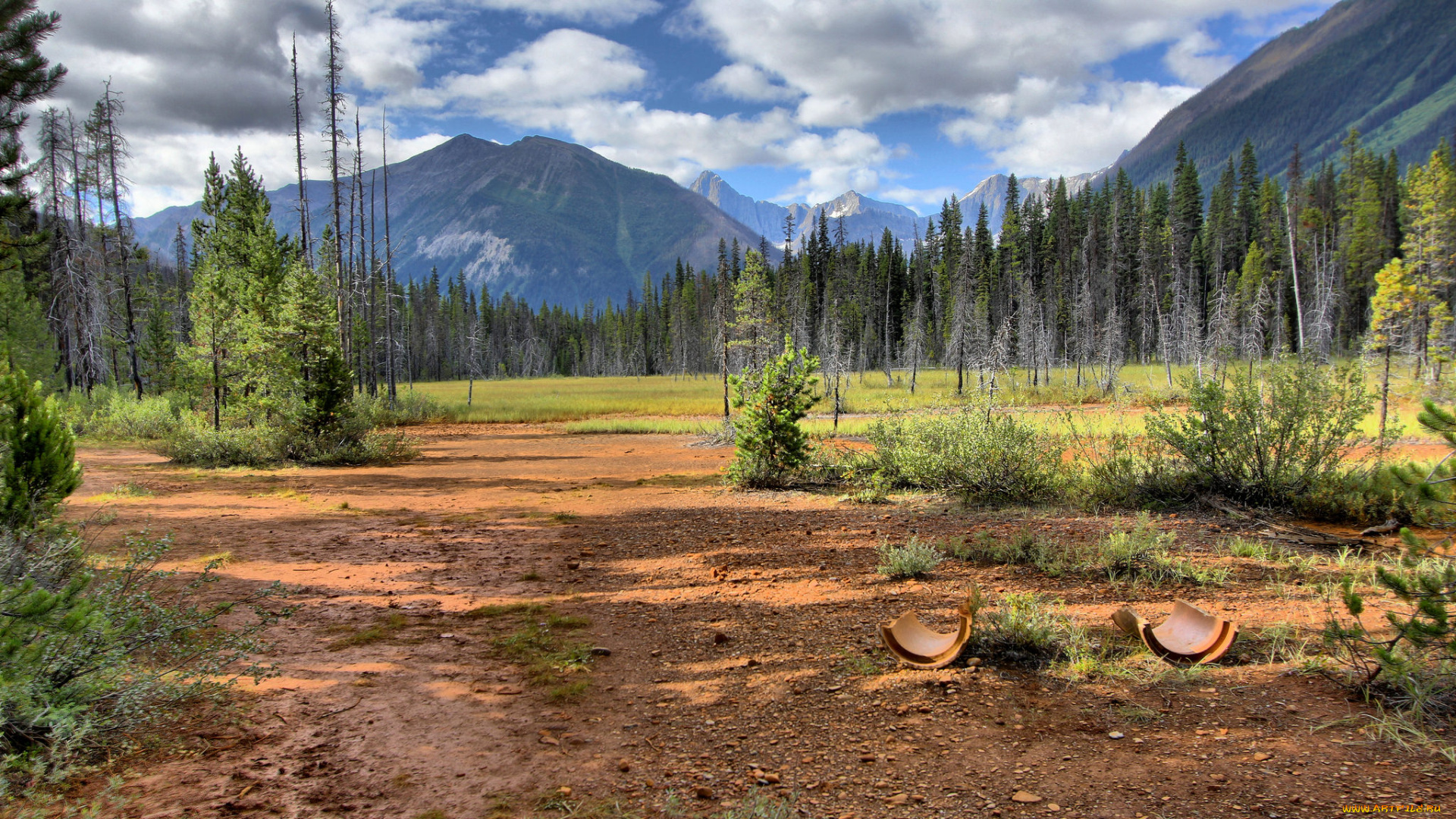 природа, пейзажи, простор