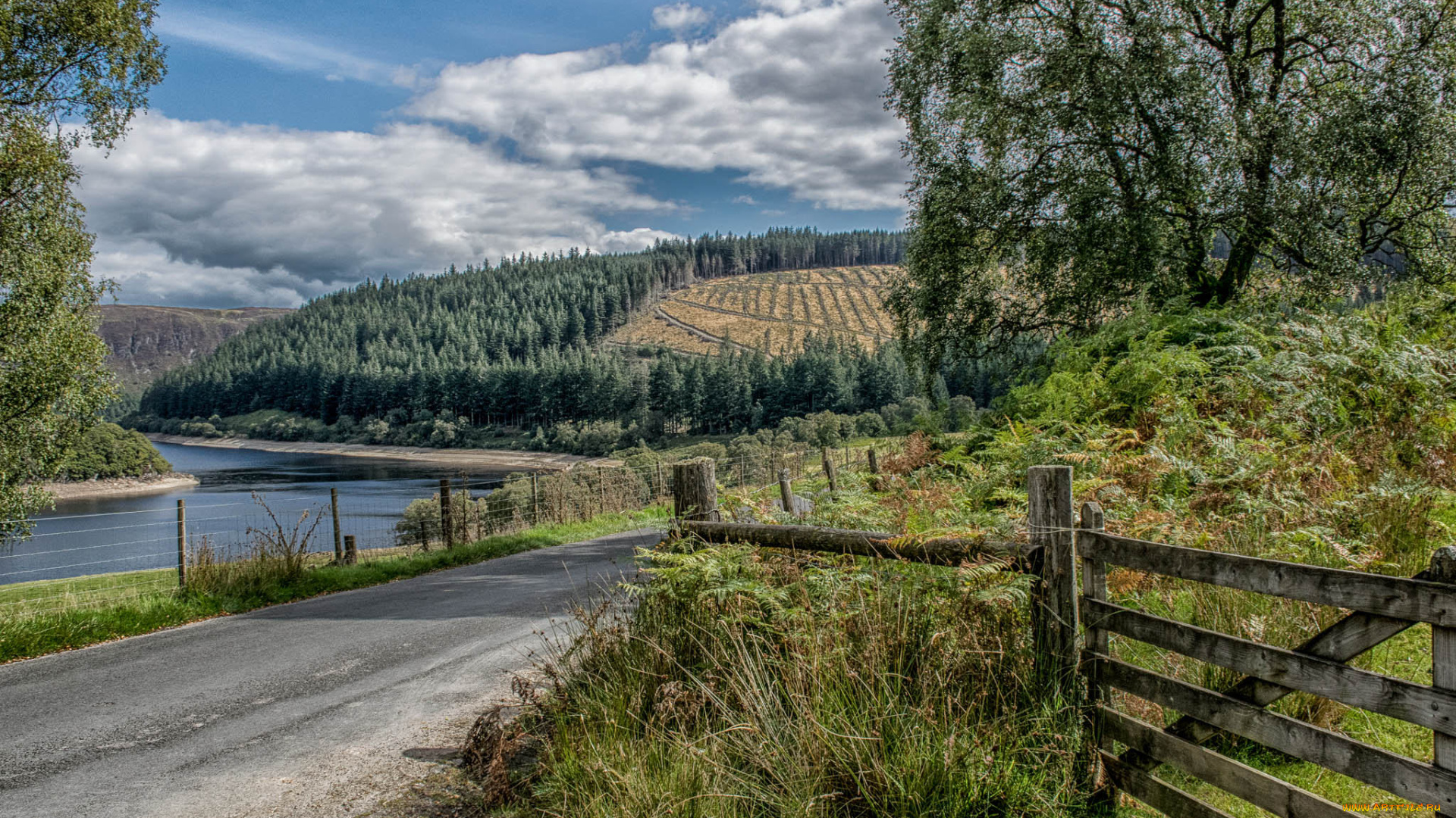 природа, пейзажи, простор