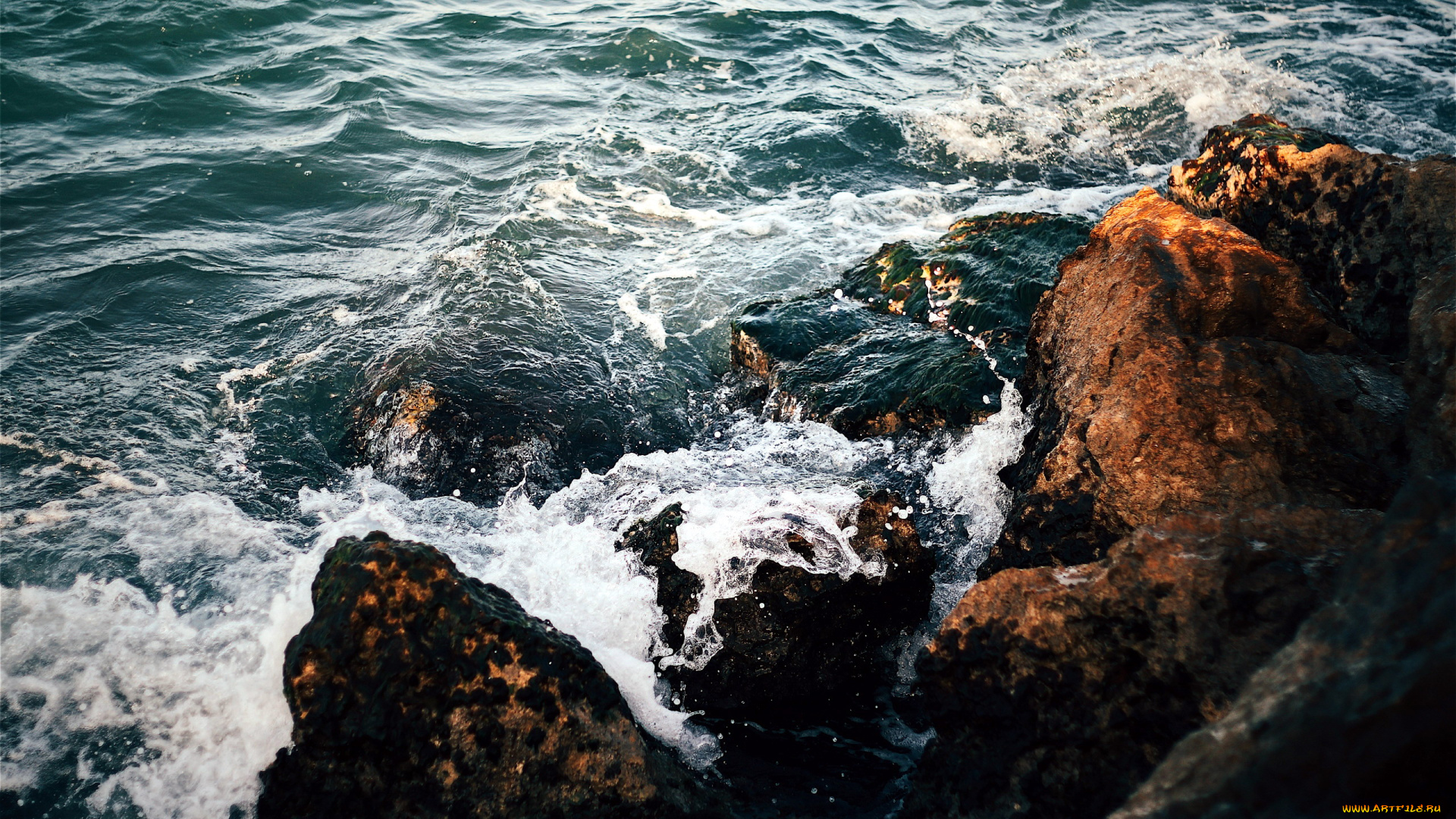 природа, побережье, вода, пена, скалы