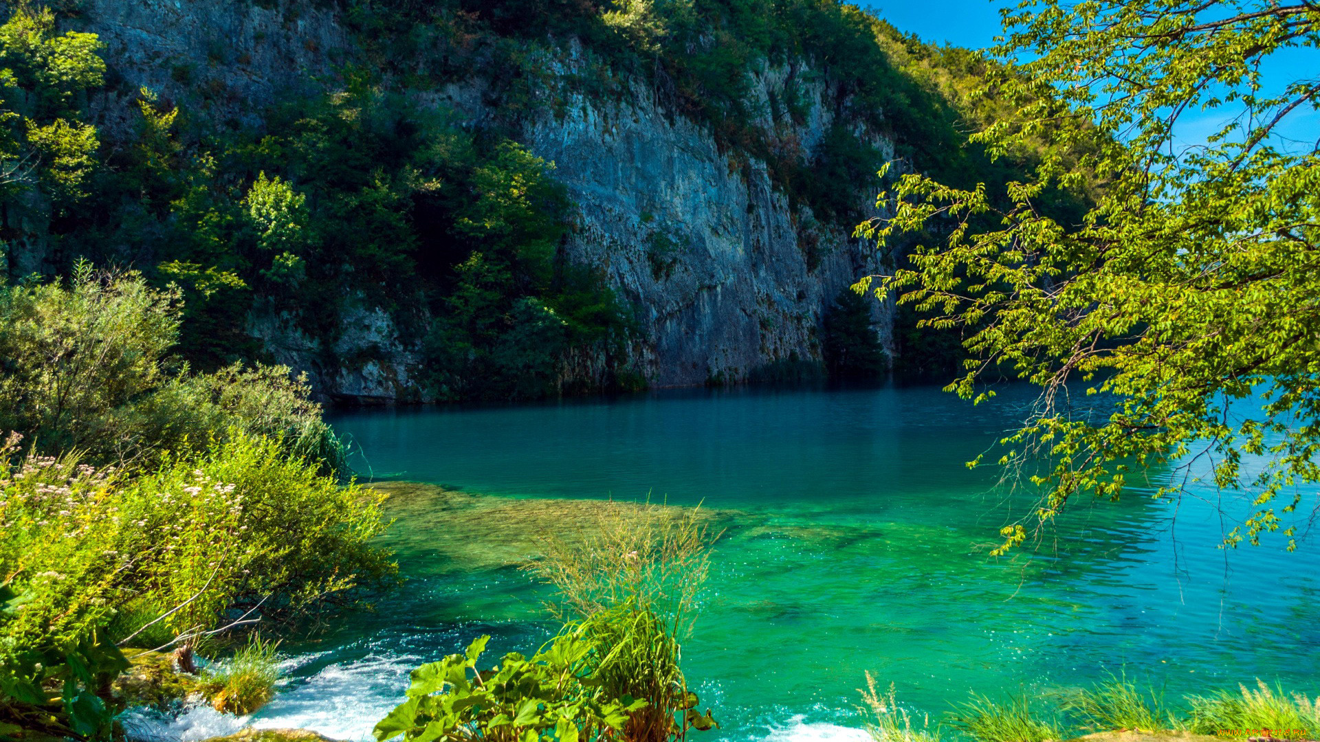 природа, реки, озера, озеро