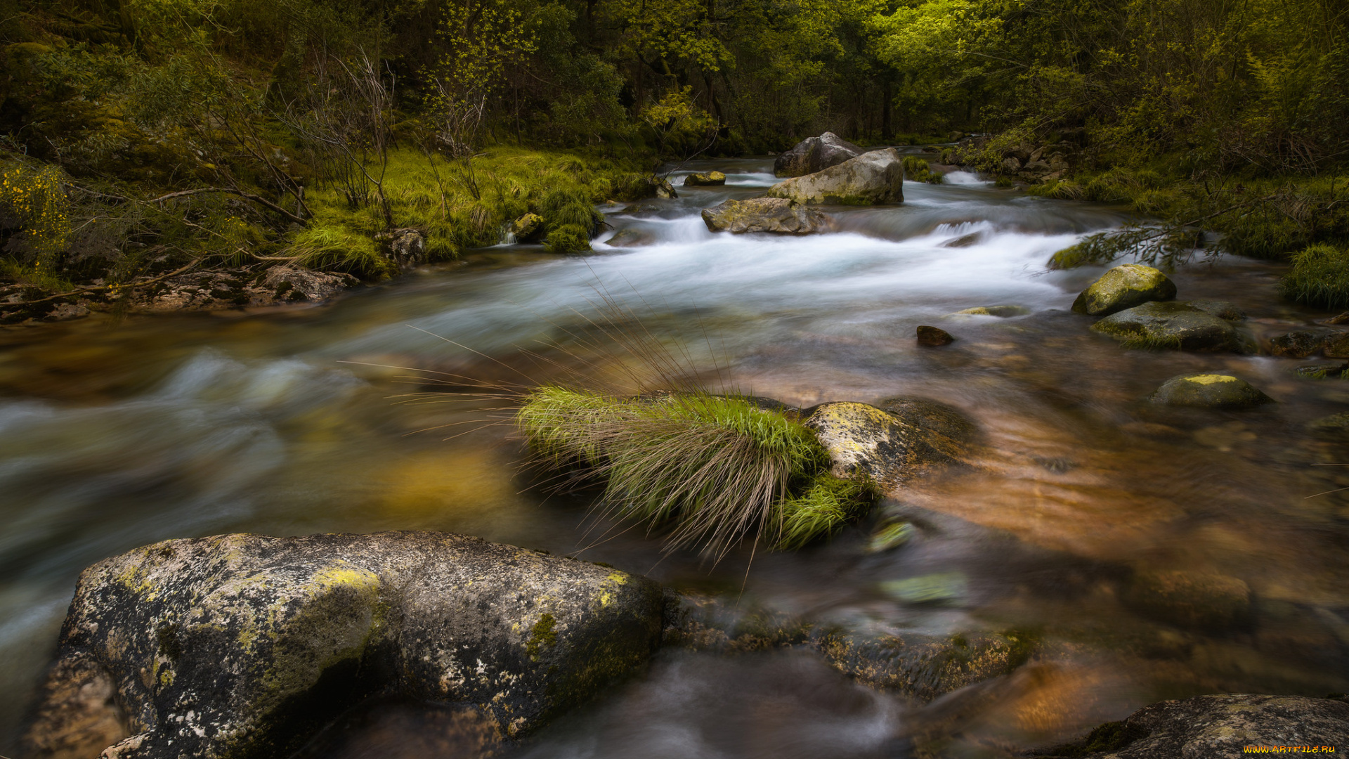 природа, реки, озера, простор