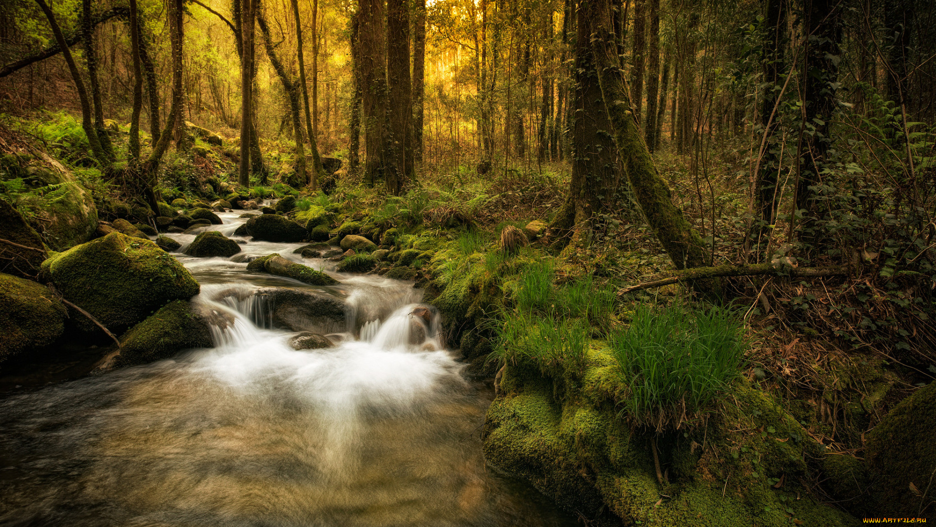 природа, реки, озера, простор