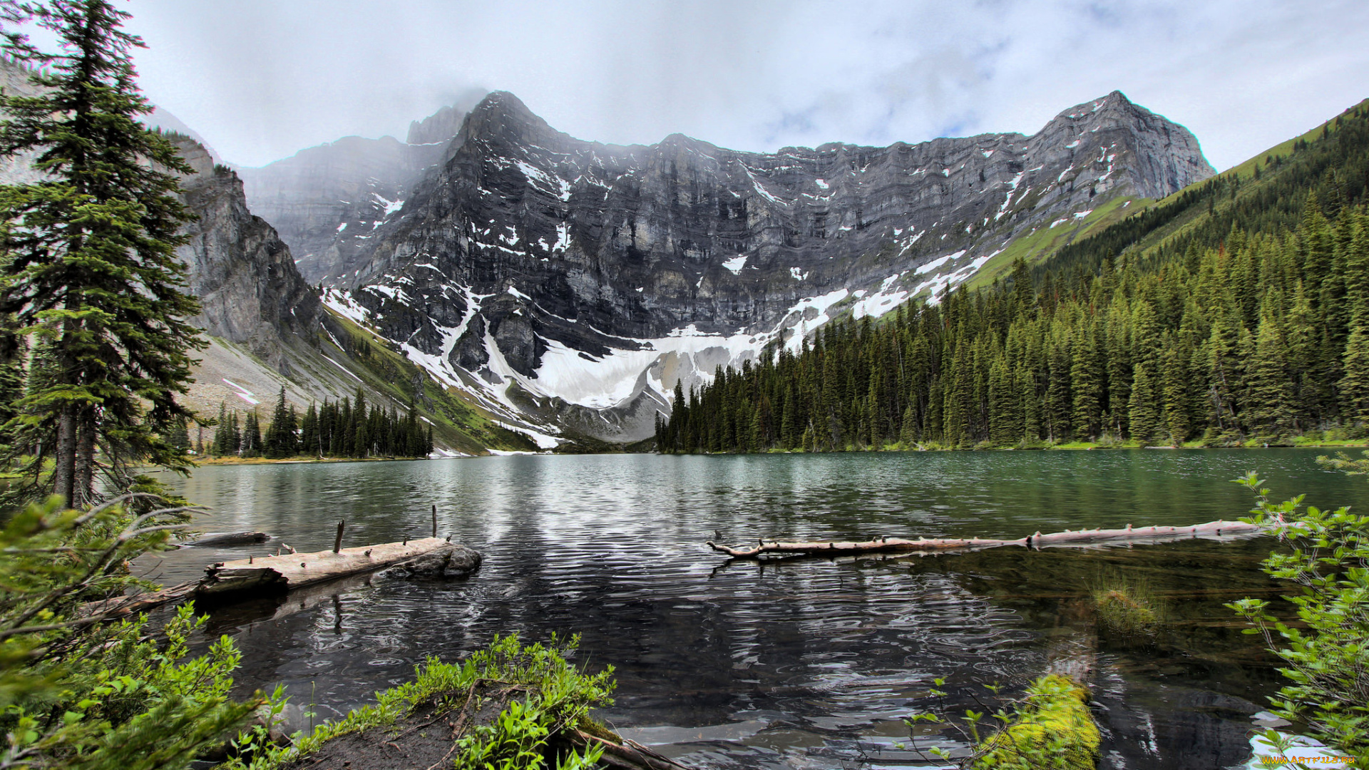 природа, реки, озера, простор