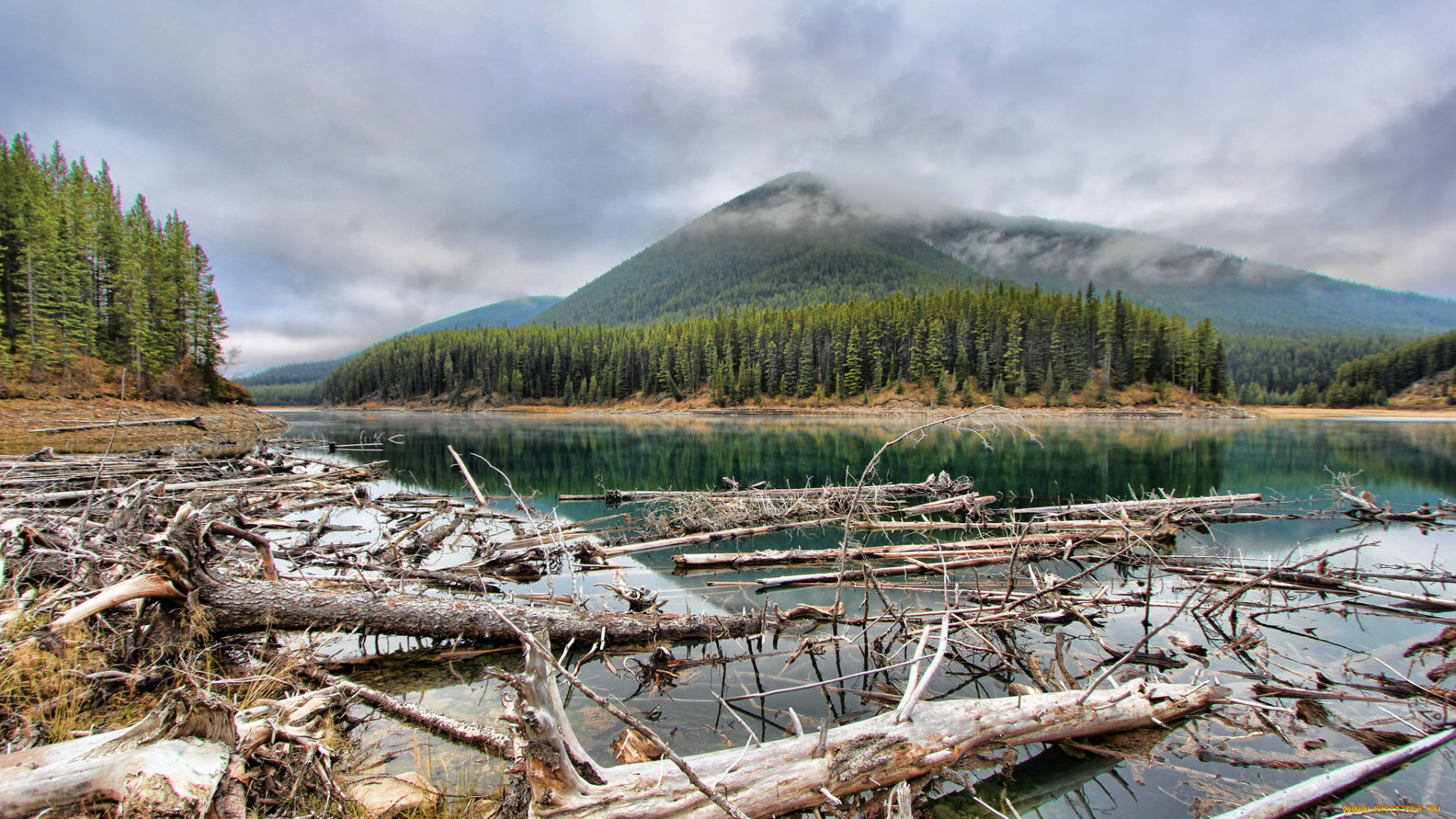 природа, реки, озера, простор