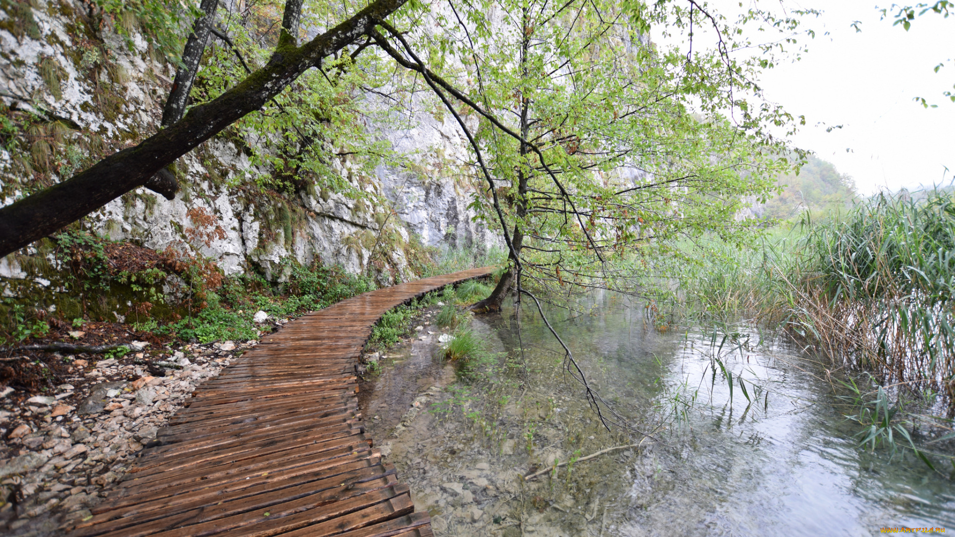 природа, реки, озера, простор