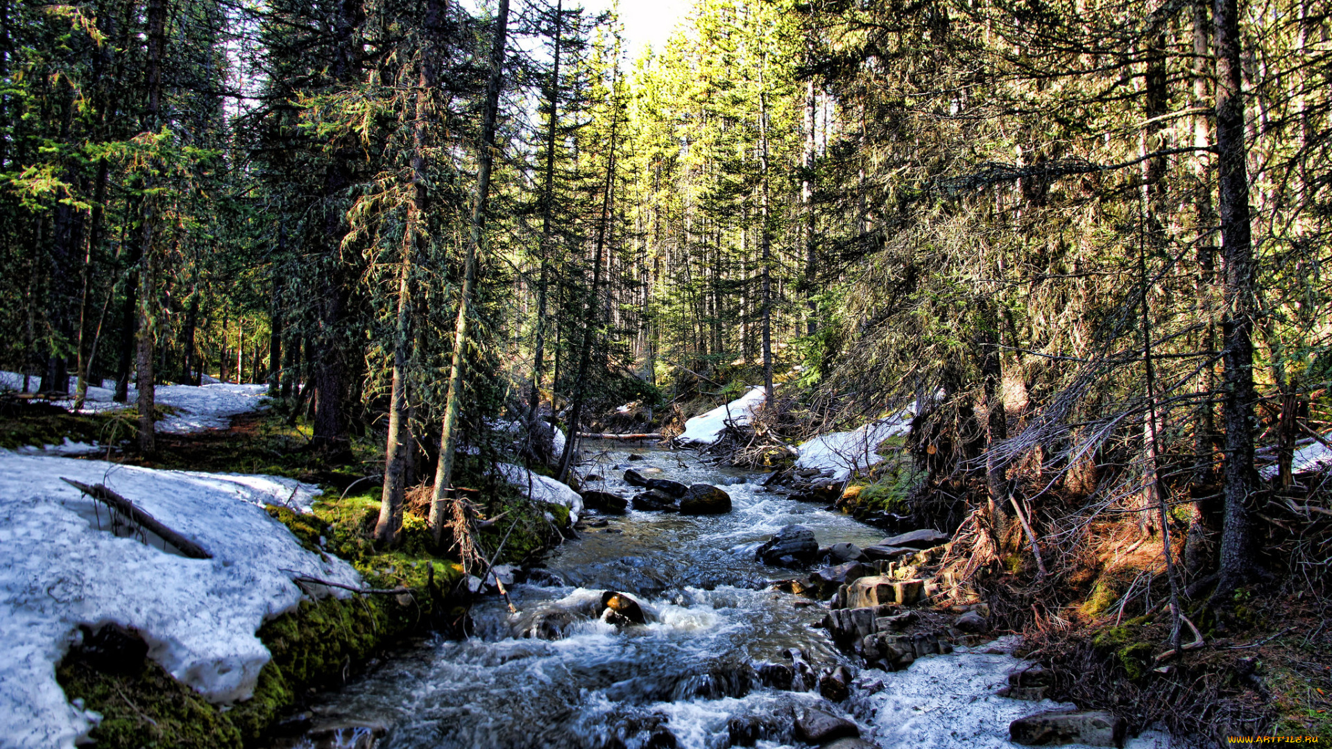 природа, реки, озера, простор