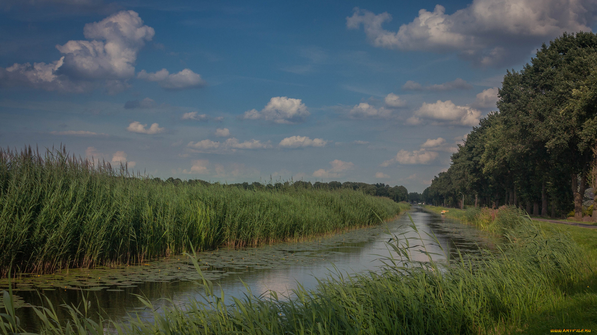 природа, реки, озера, простор