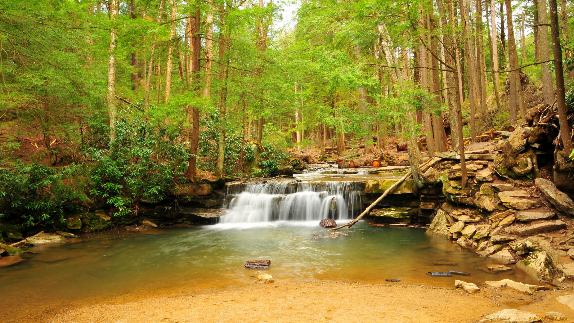 природа, водопады, водопад, скалы, река, деревья, лес