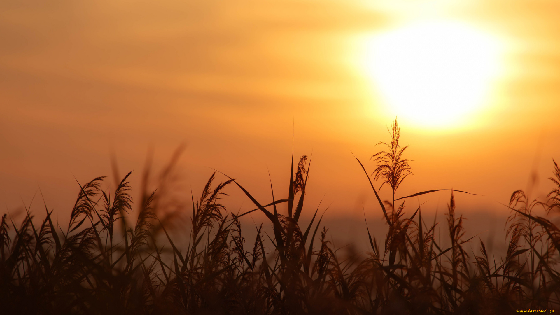 природа, восходы, закаты, простор