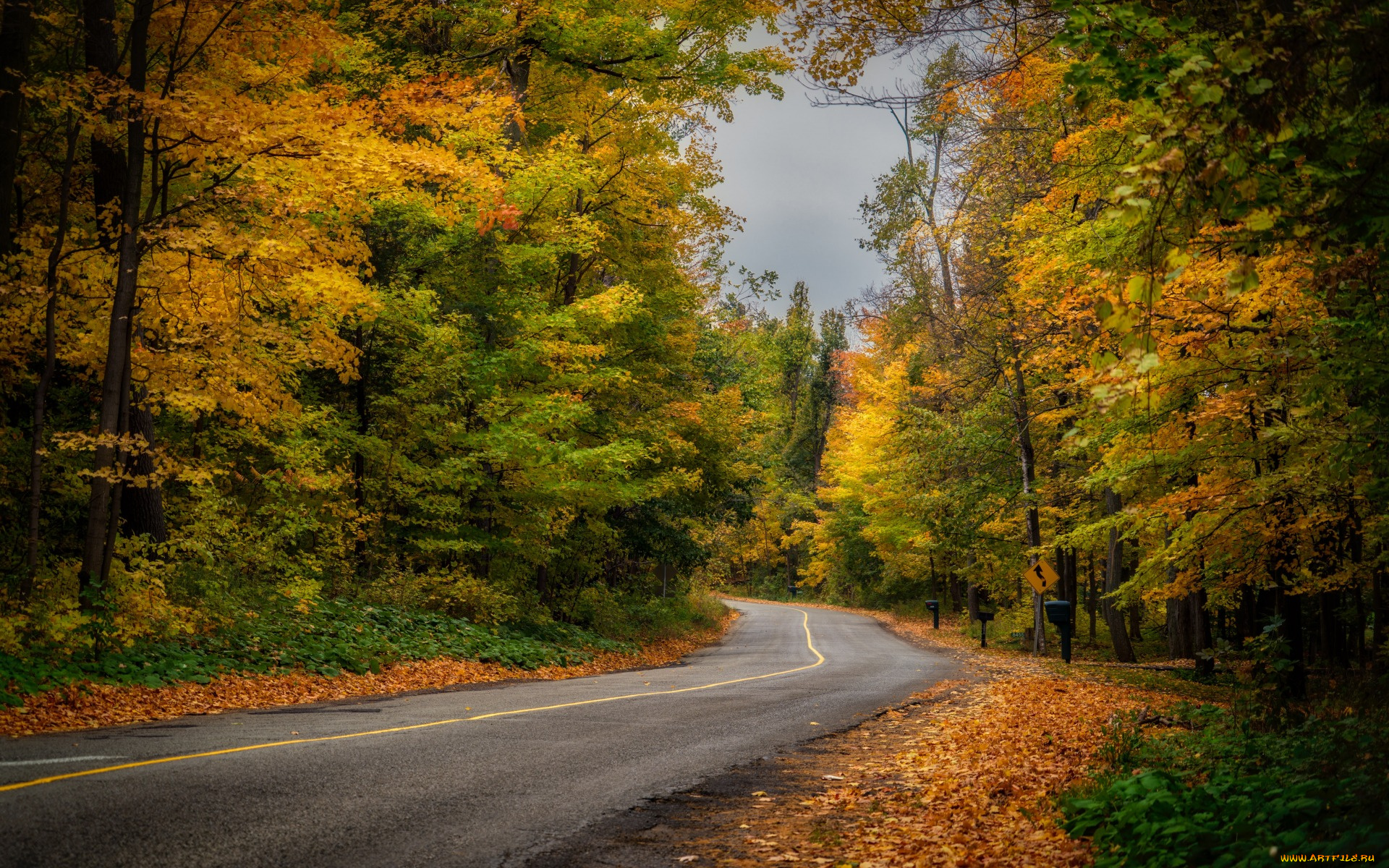 природа, дороги, лес, осень, дорога