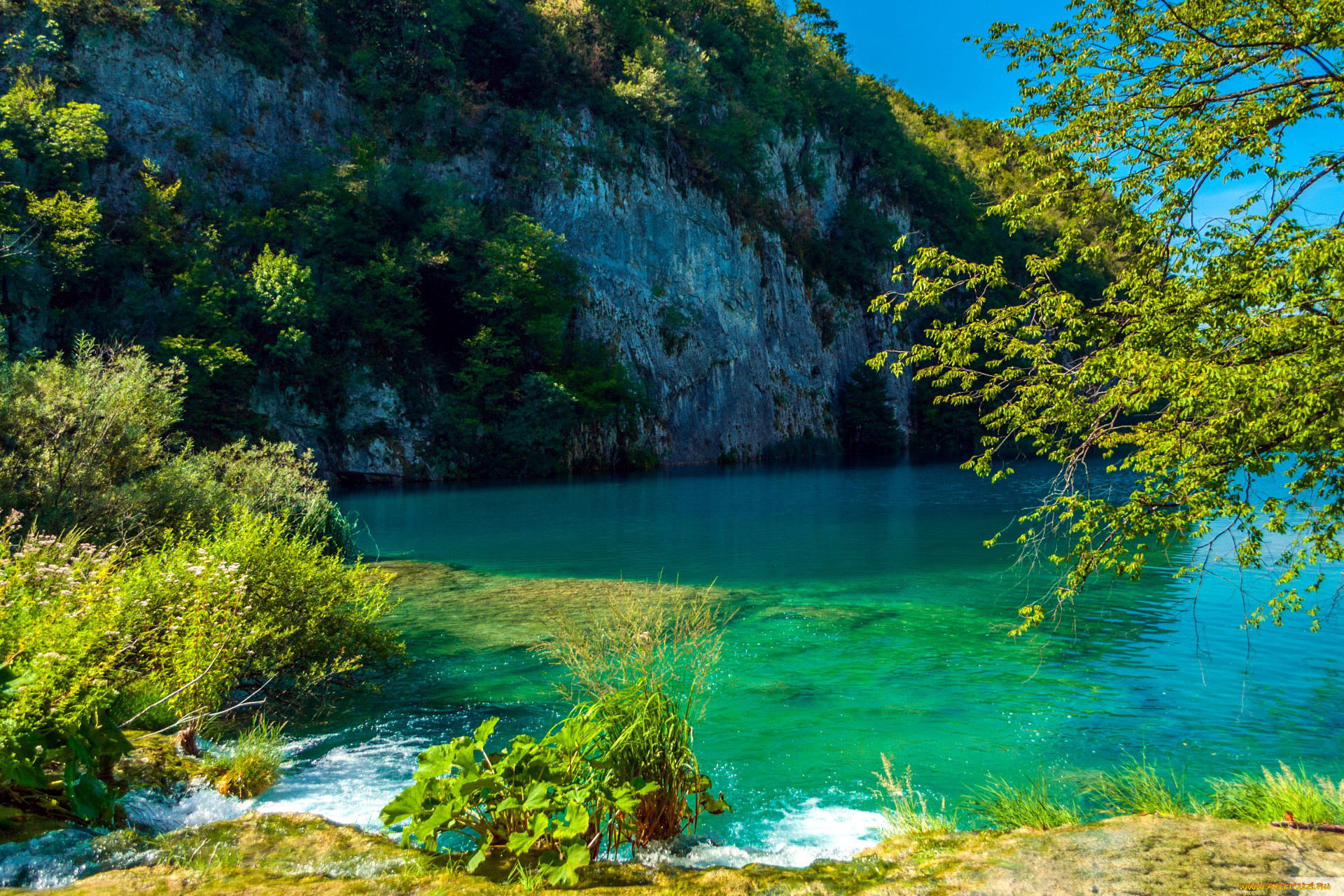 природа, реки, озера, озеро