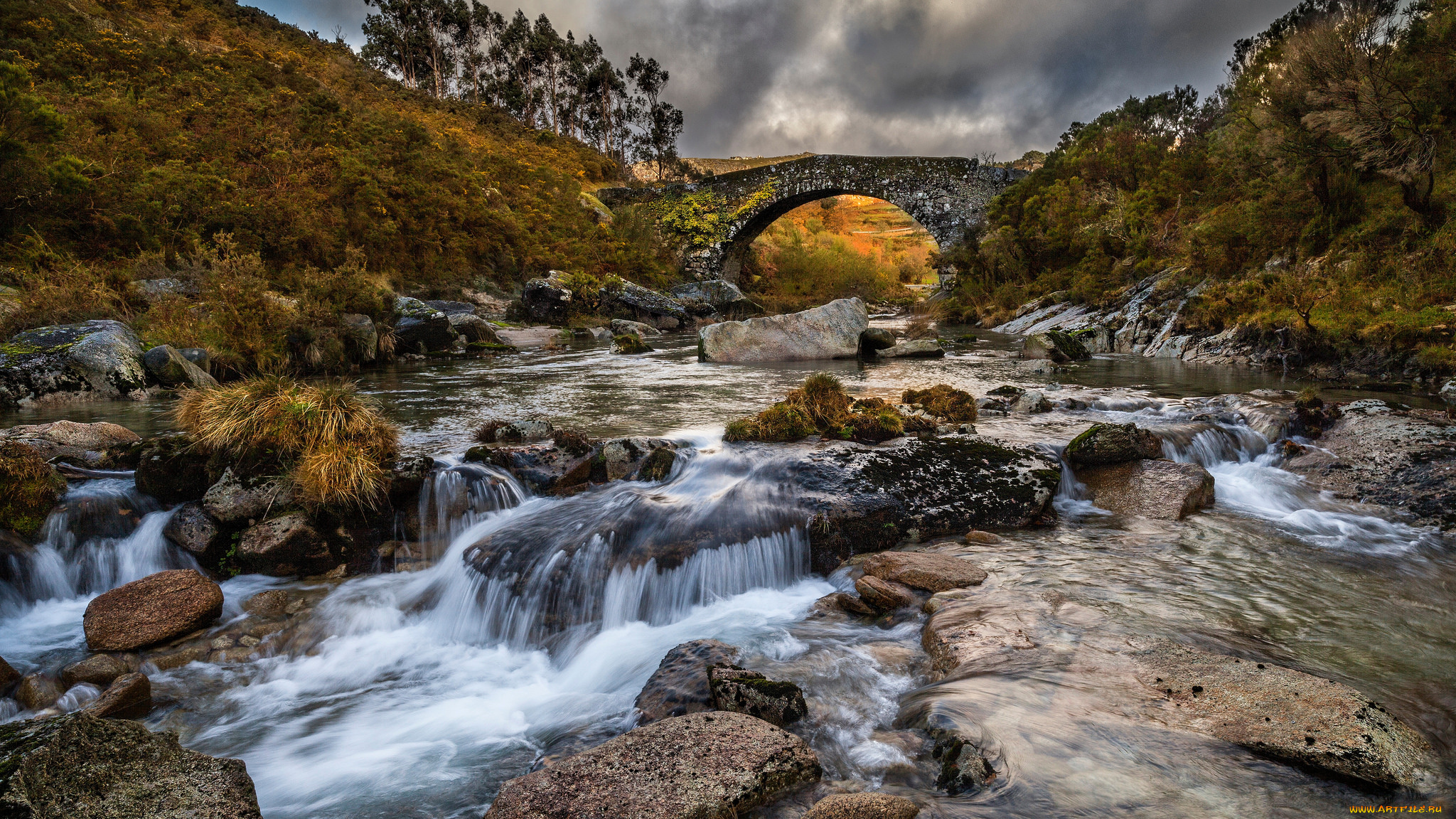 природа, реки, озера, простор