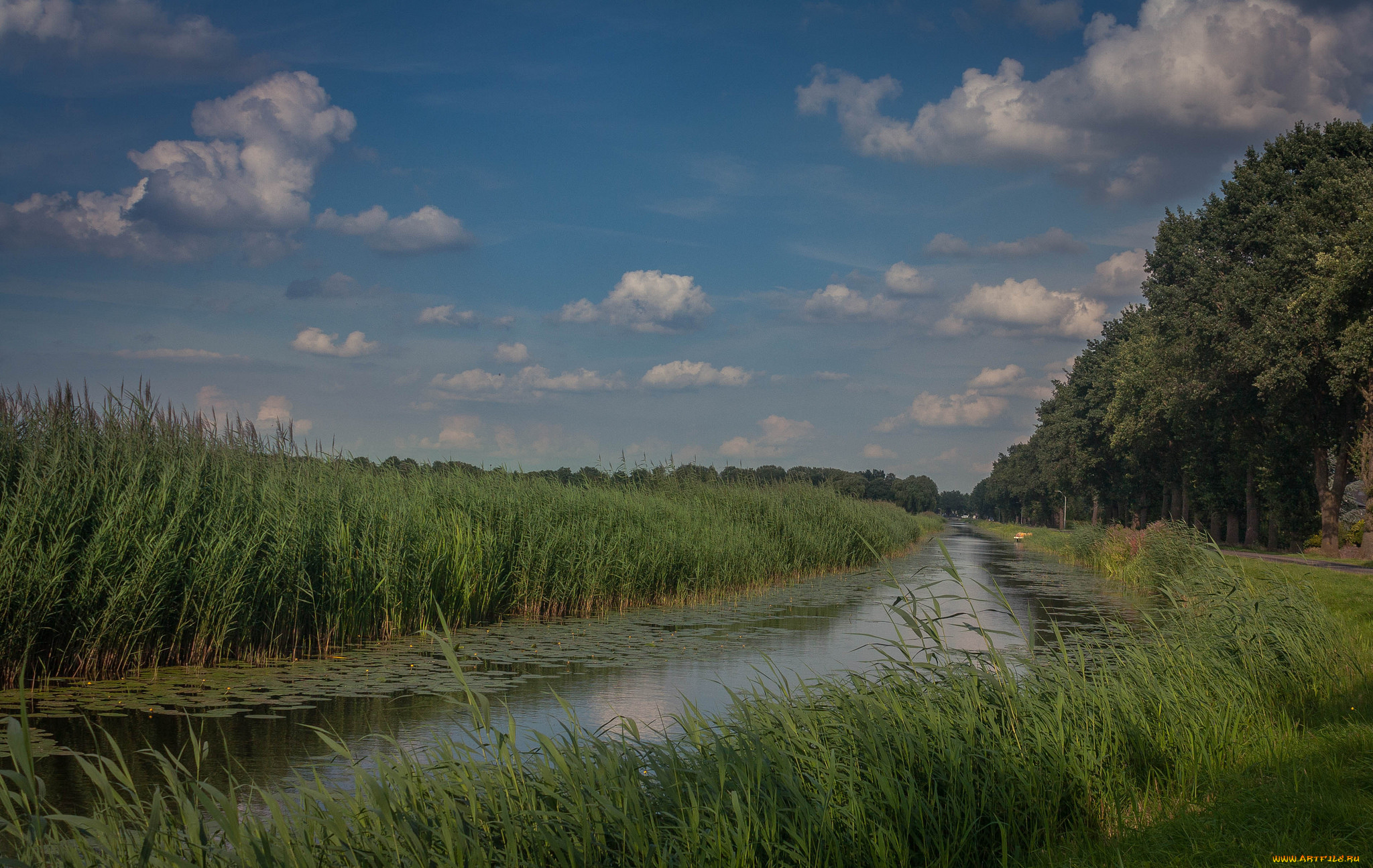 природа, реки, озера, простор