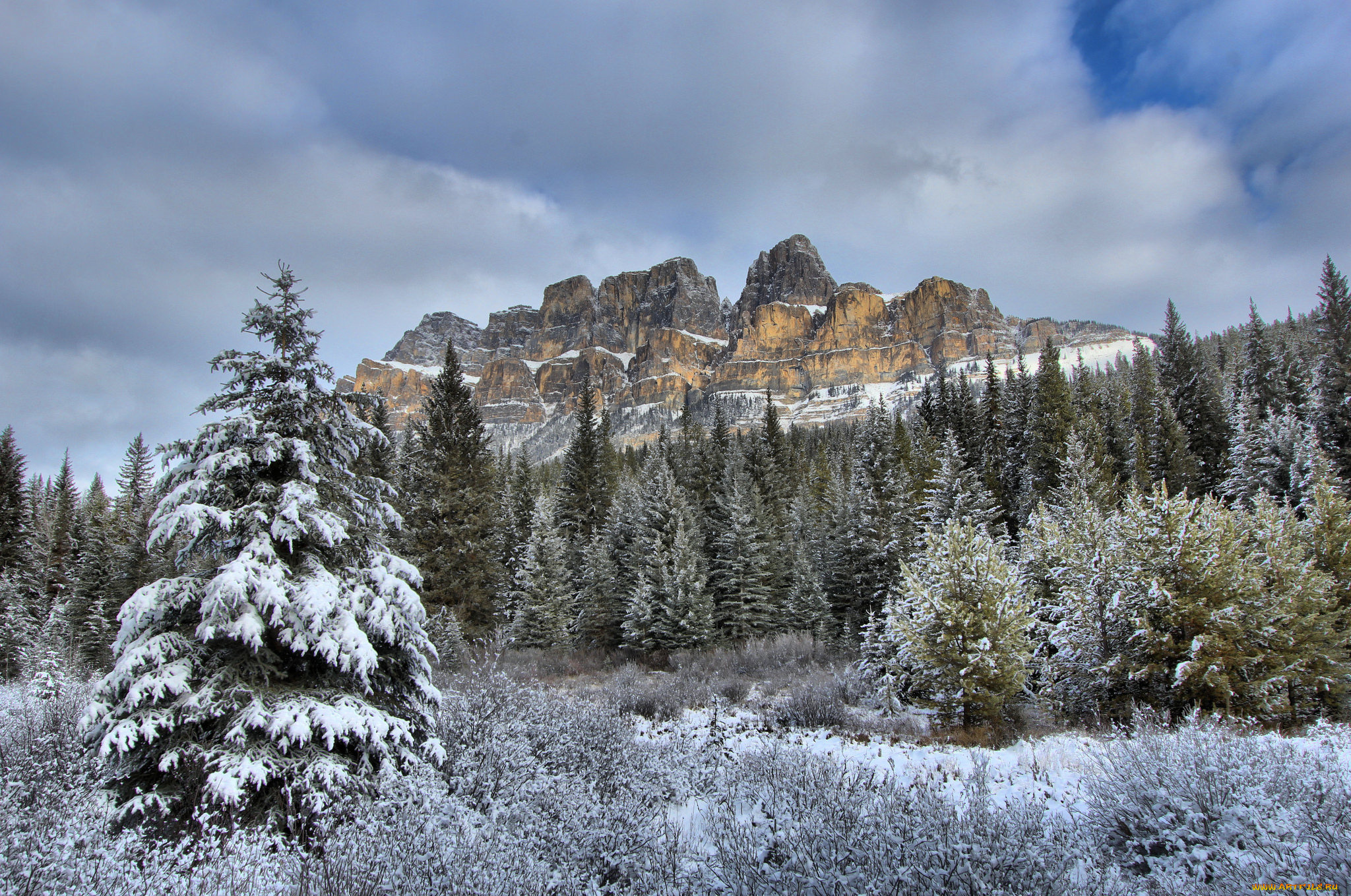 природа, горы, простор