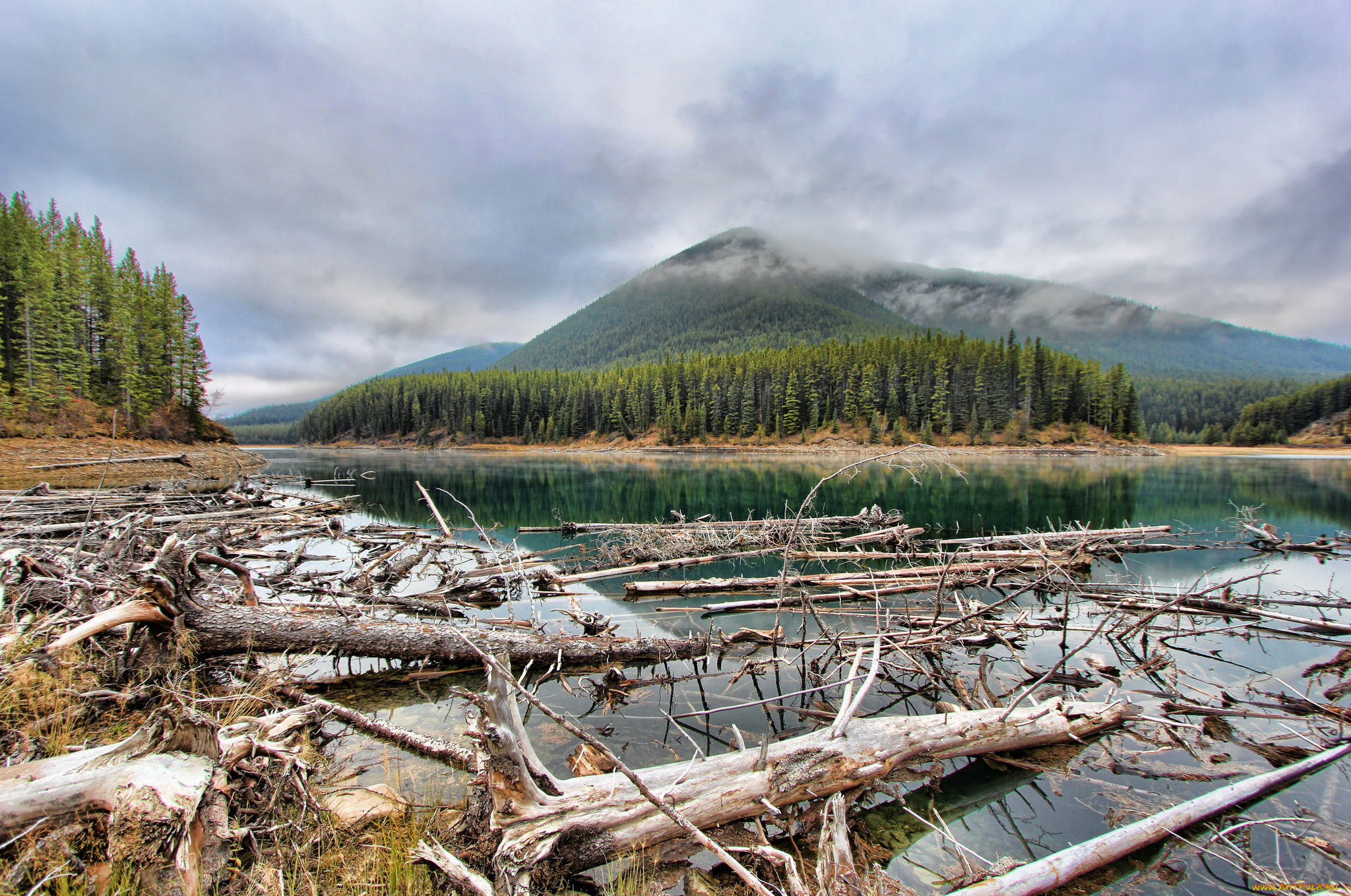 природа, реки, озера, простор