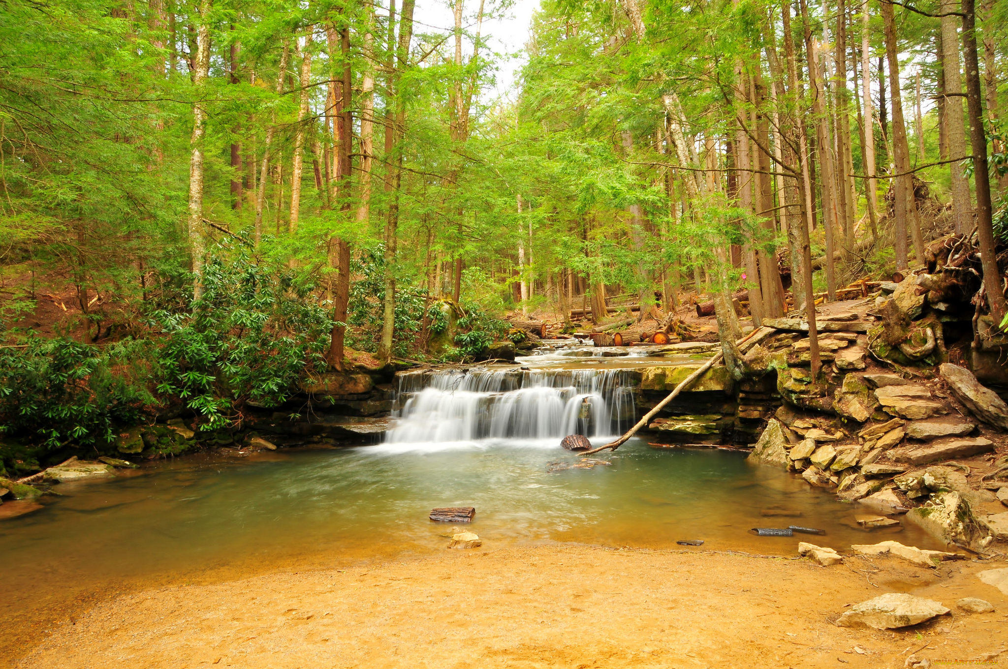 природа, водопады, водопад, скалы, река, деревья, лес