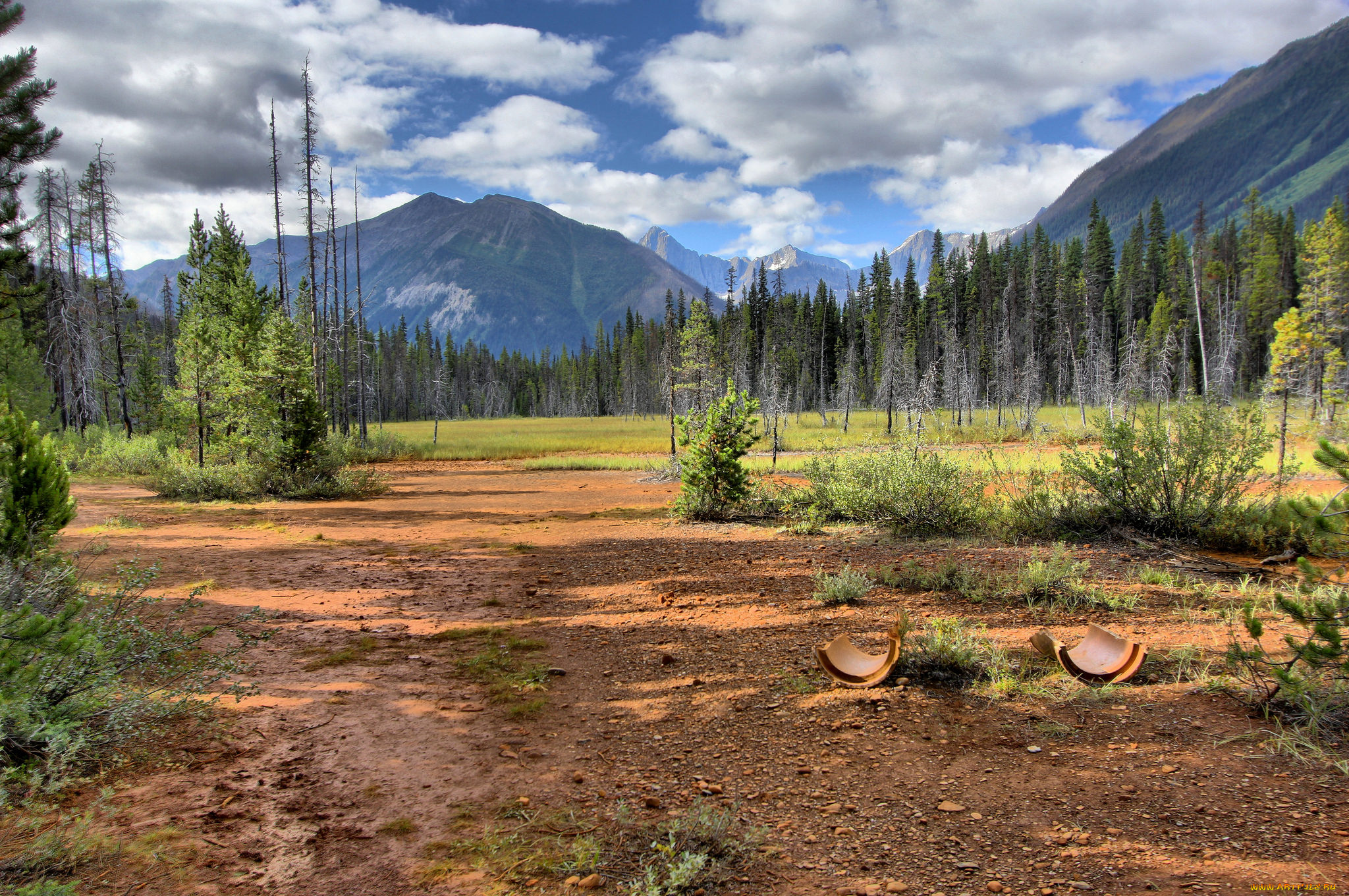 природа, пейзажи, простор
