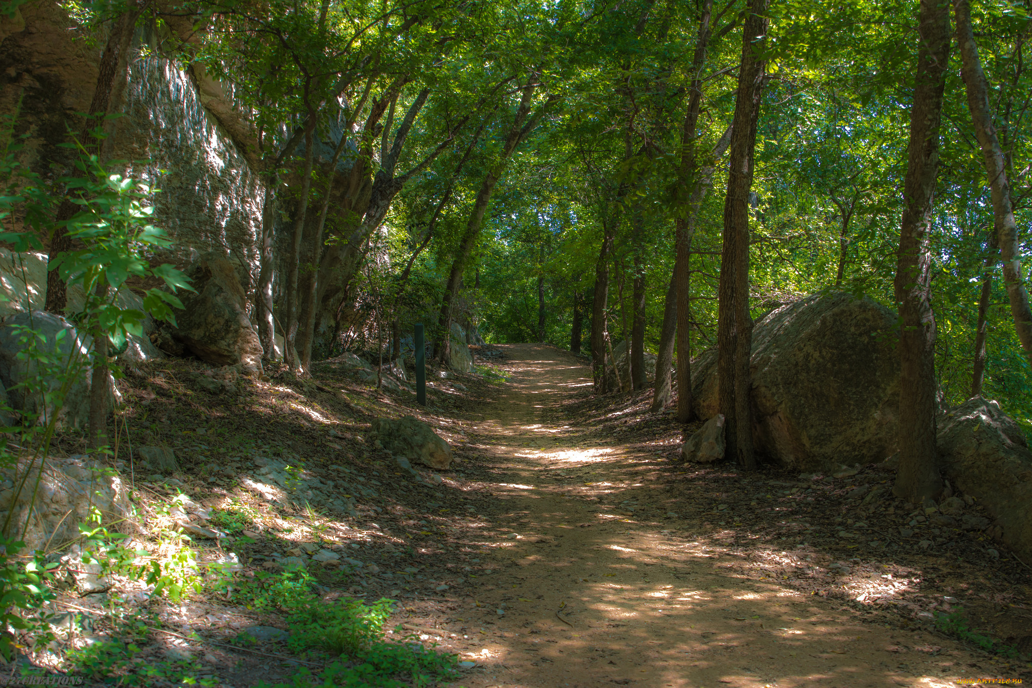 природа, дороги, простор