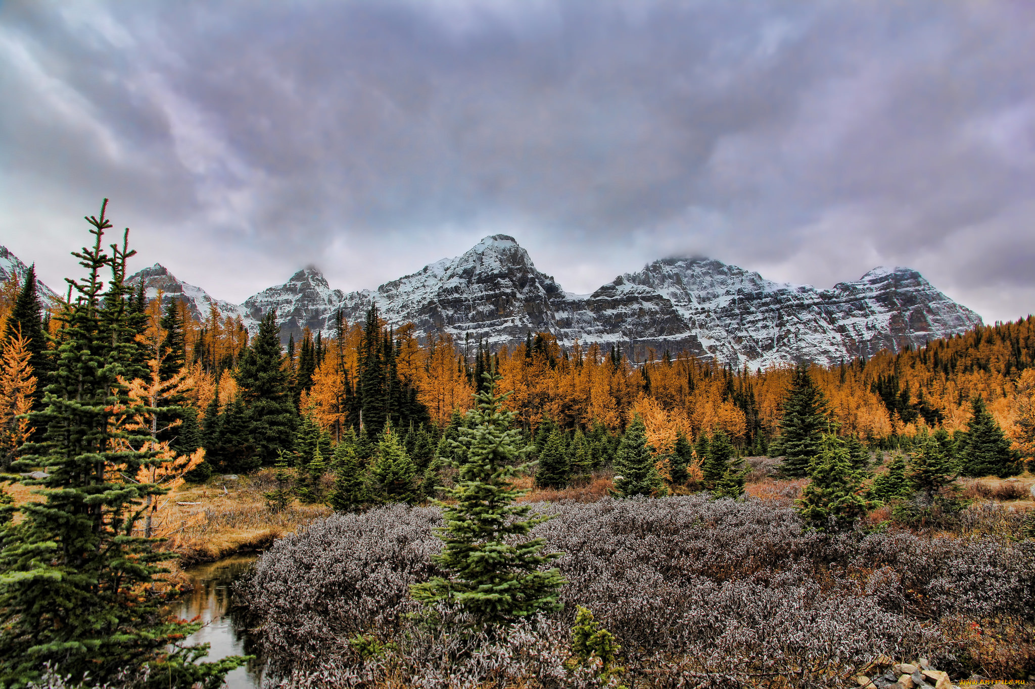 природа, горы, простор