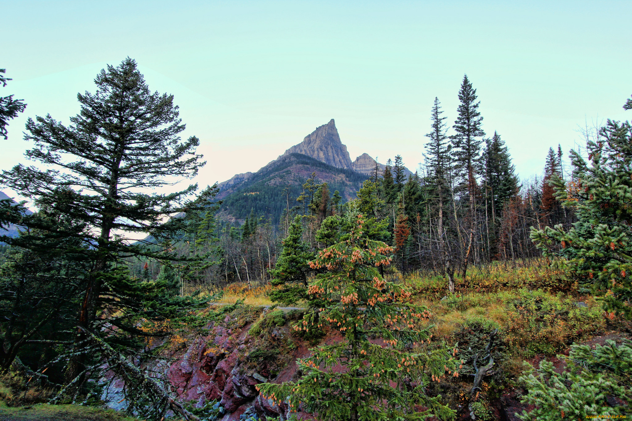 природа, горы, простор