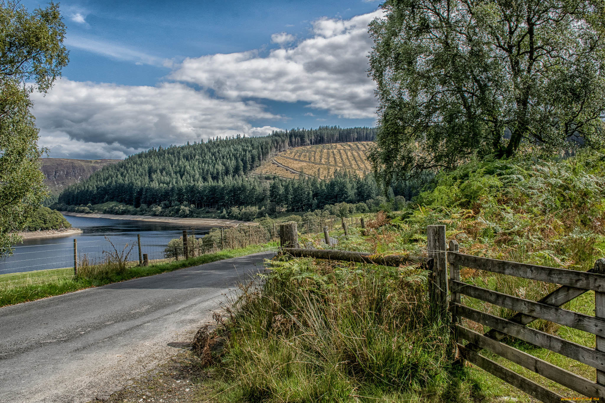 природа, пейзажи, простор