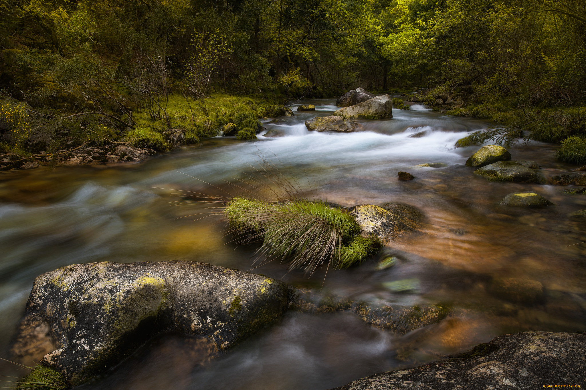 природа, реки, озера, простор