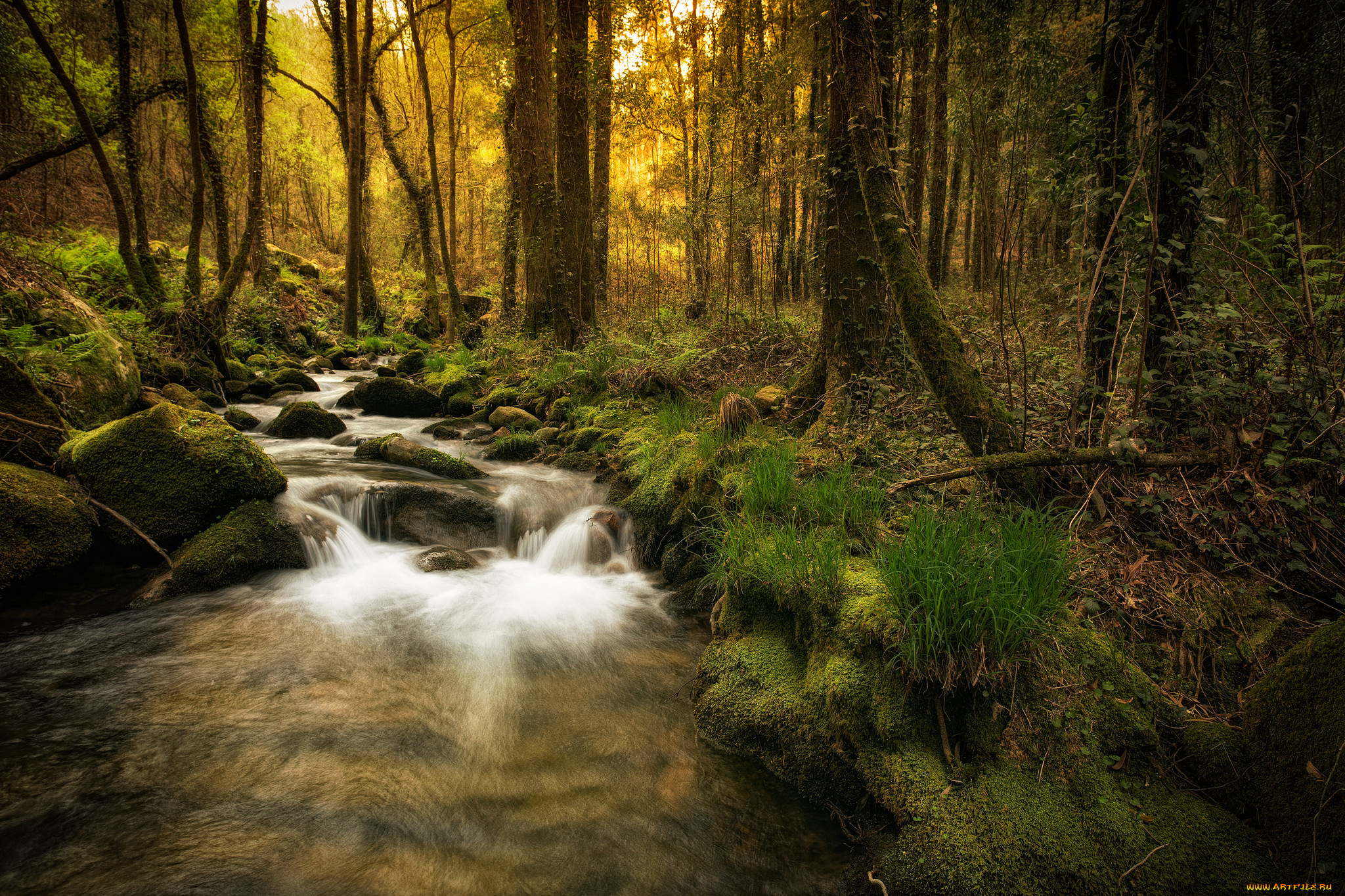 природа, реки, озера, простор