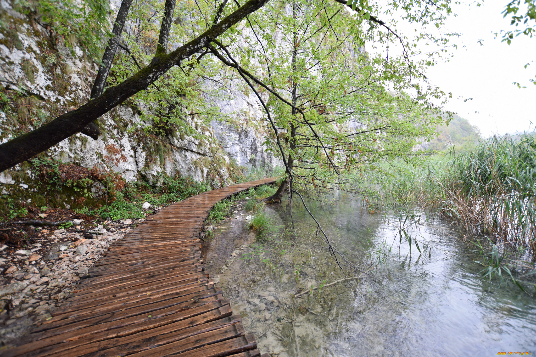 природа, реки, озера, простор