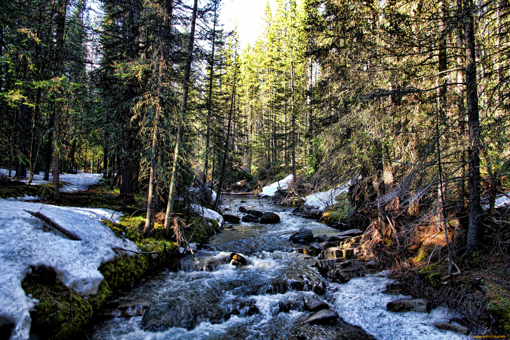 природа, реки, озера, простор