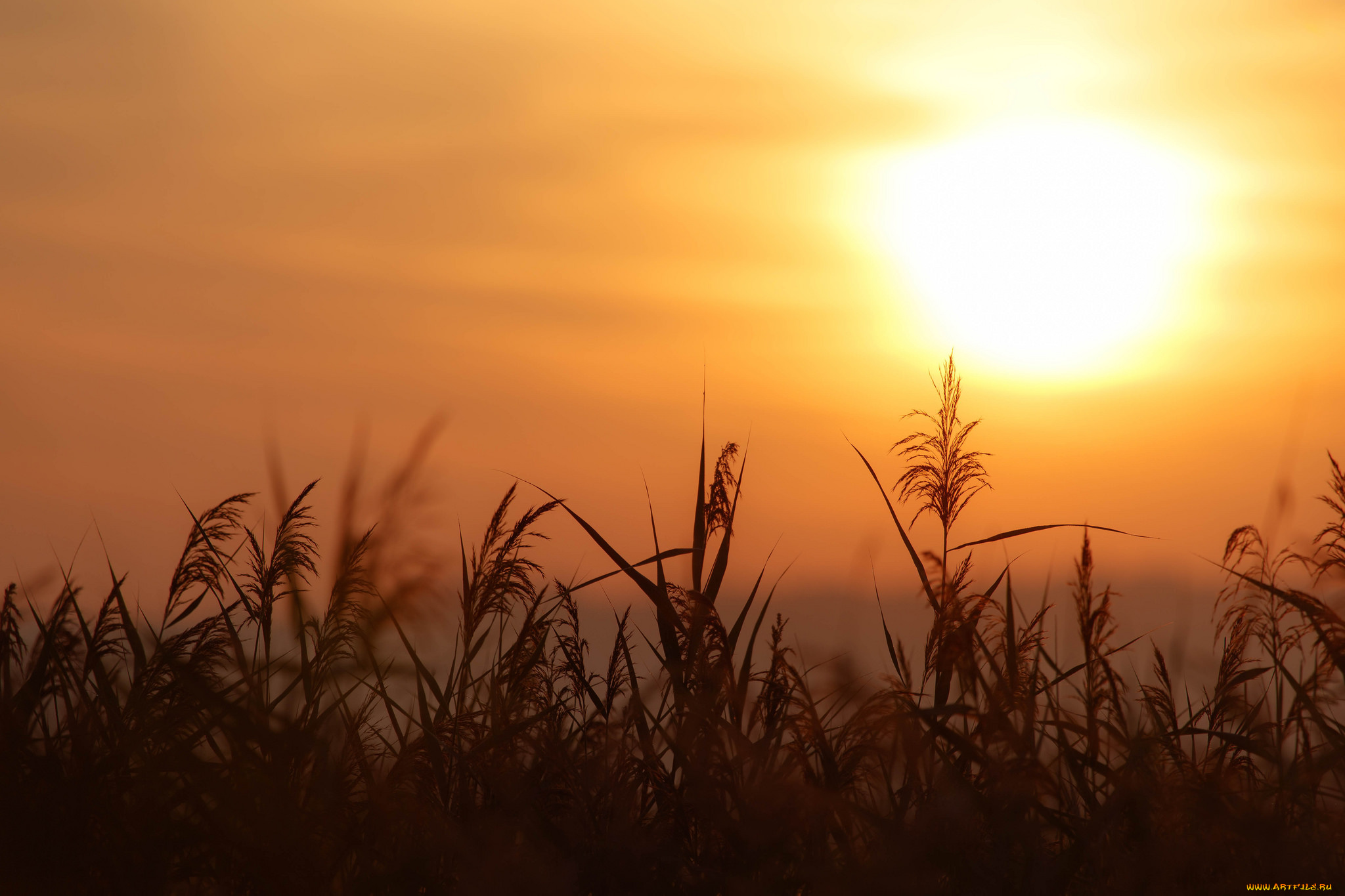 природа, восходы, закаты, простор