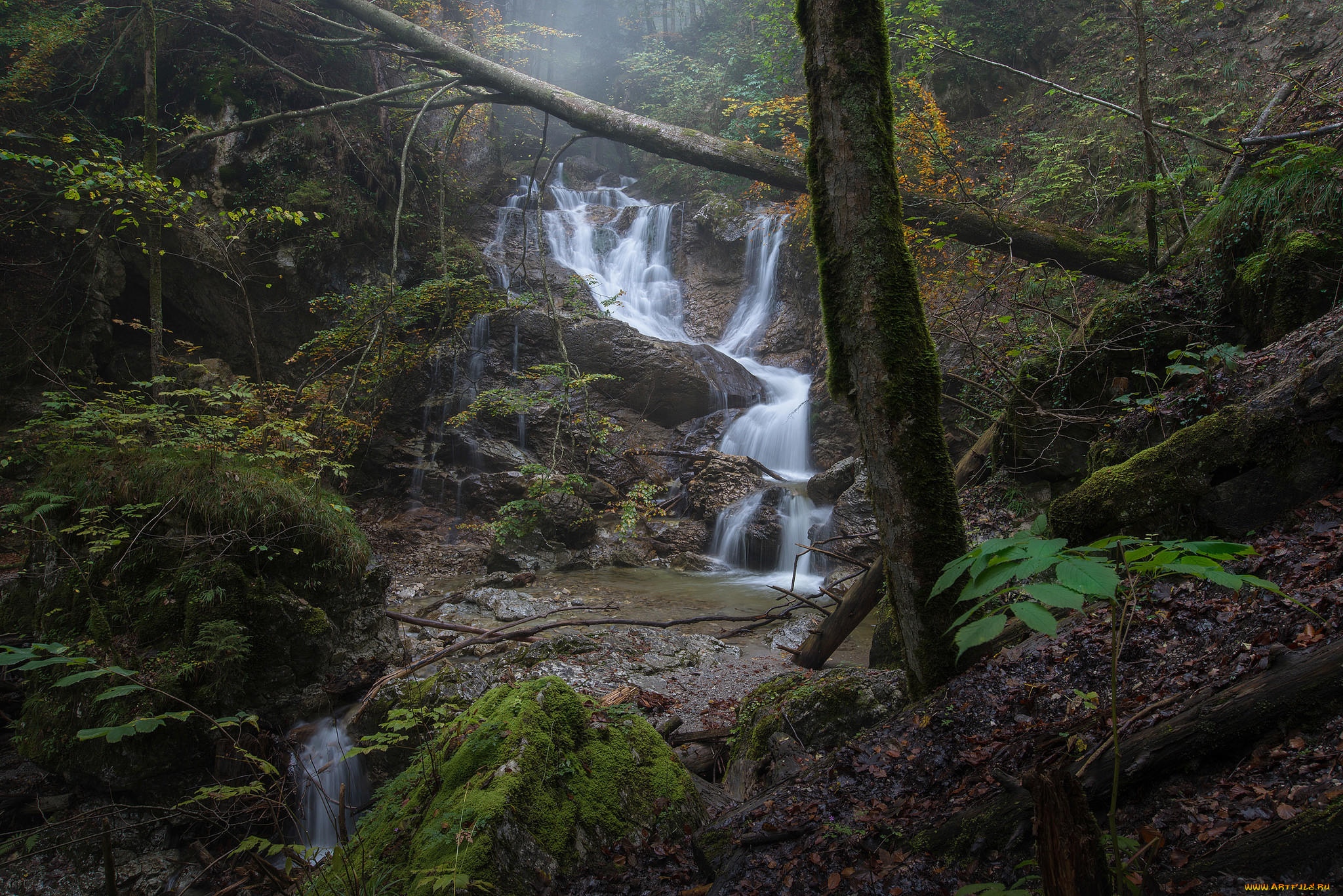 природа, реки, озера, ручей, речка, деревья, лес, осень