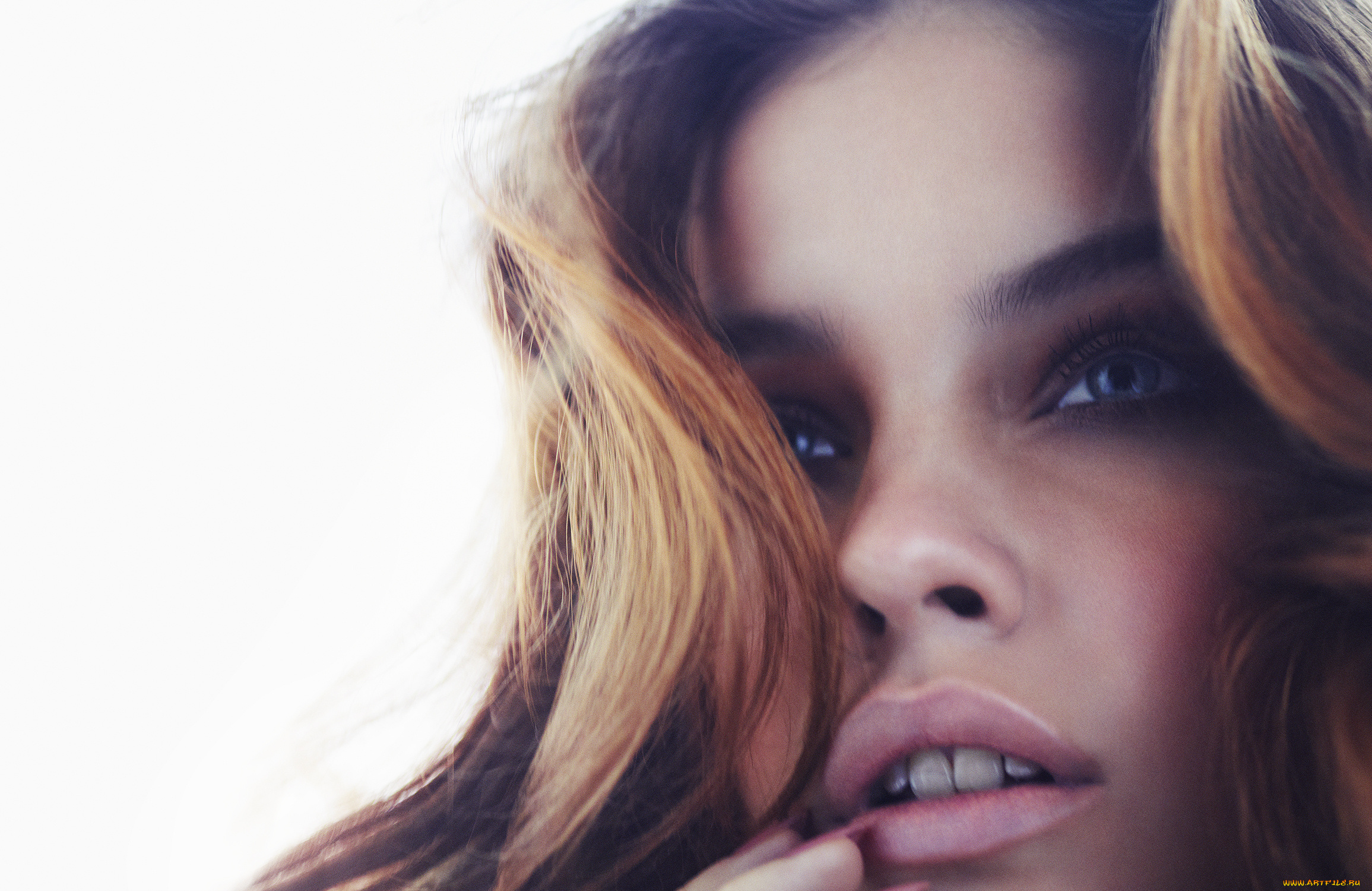 девушки, barbara, palvin, модель, лицо