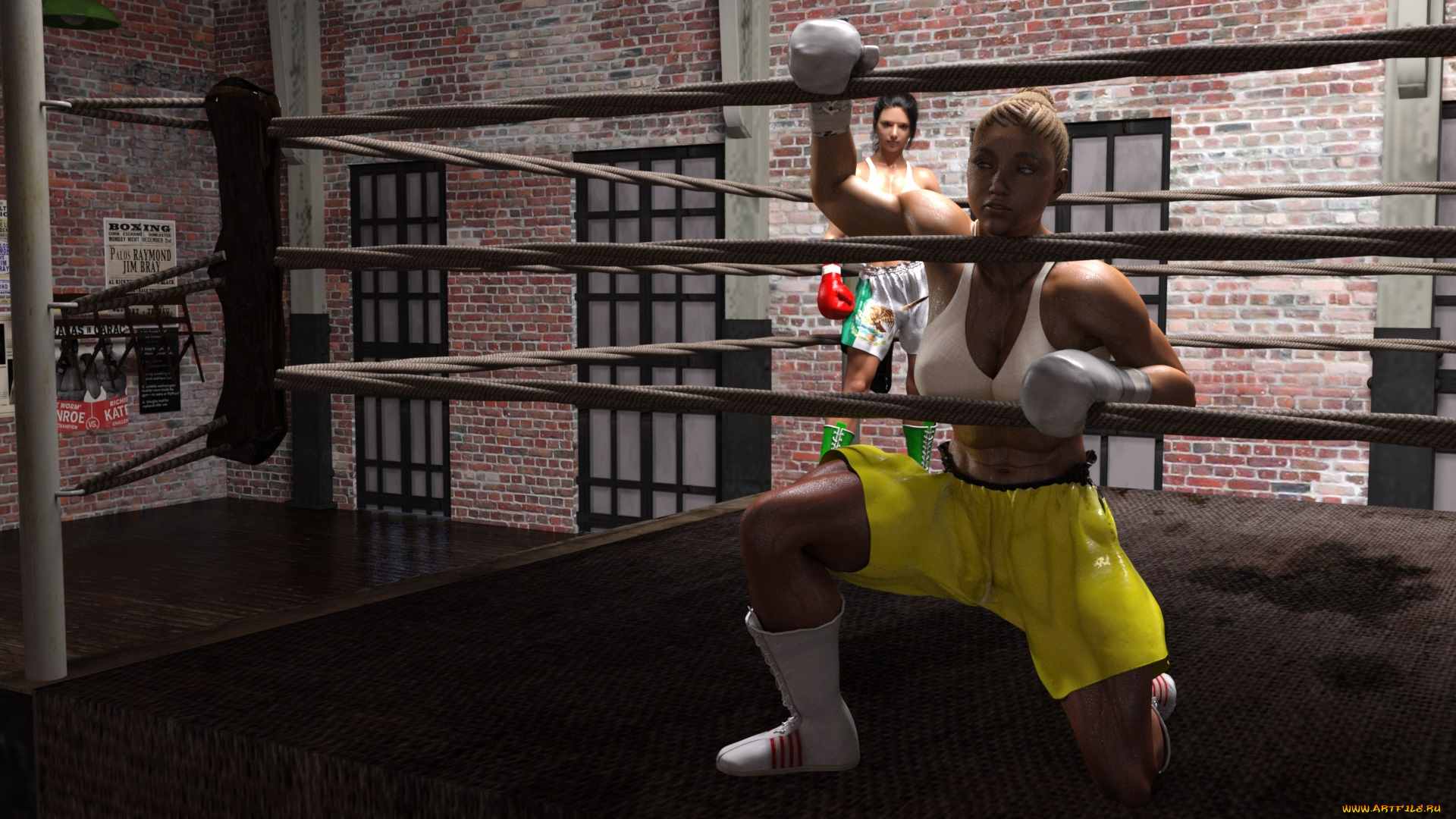 3д, графика, спорт, , sport, бокс, ринг, грудь, фон, взгляд, девушки