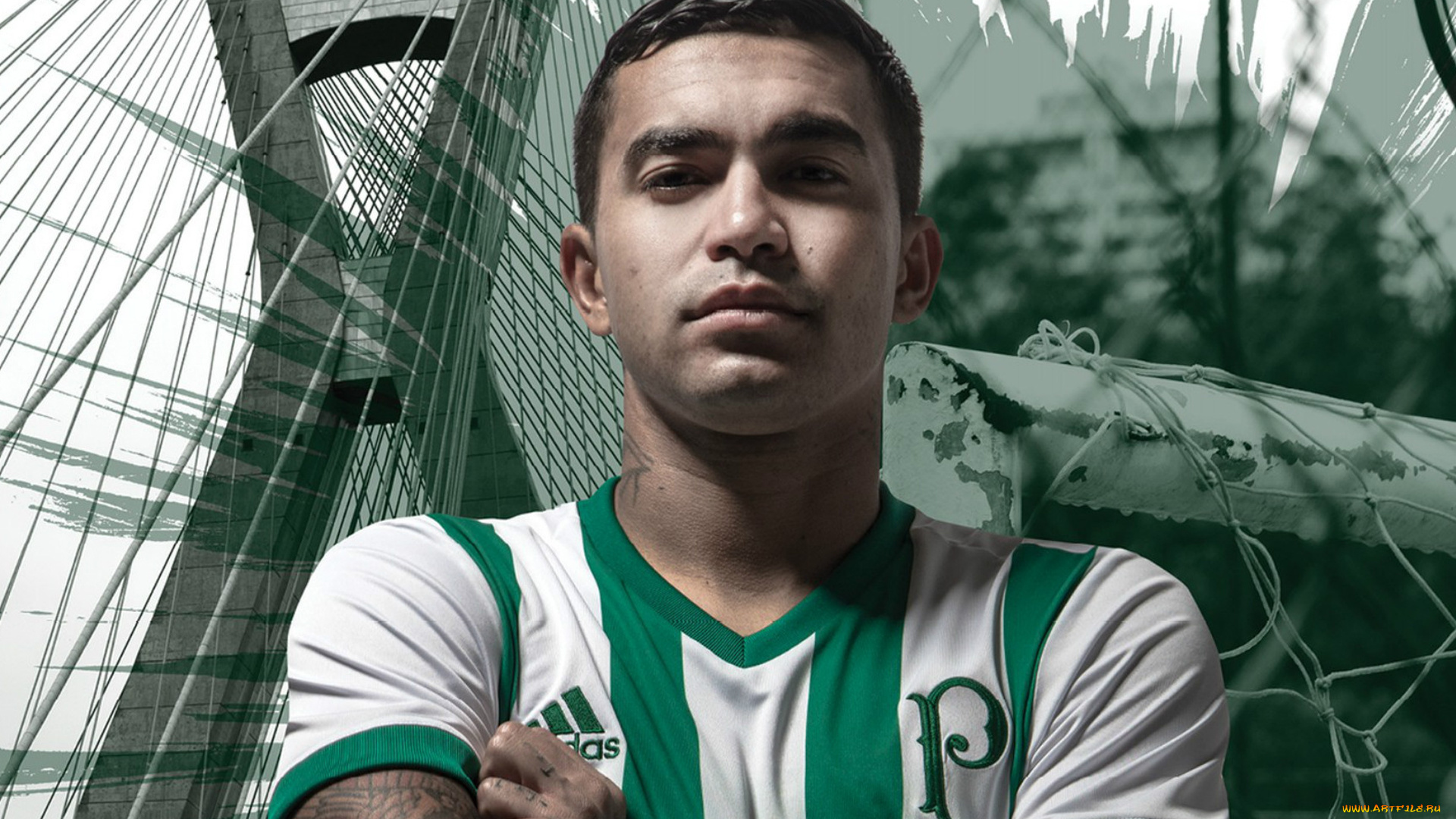 dudu, спорт, футбол, бразильский, футболист, se, palmeiras, эдуардо, перейра, родригес, бразильская, серия, а, fc, бразилия