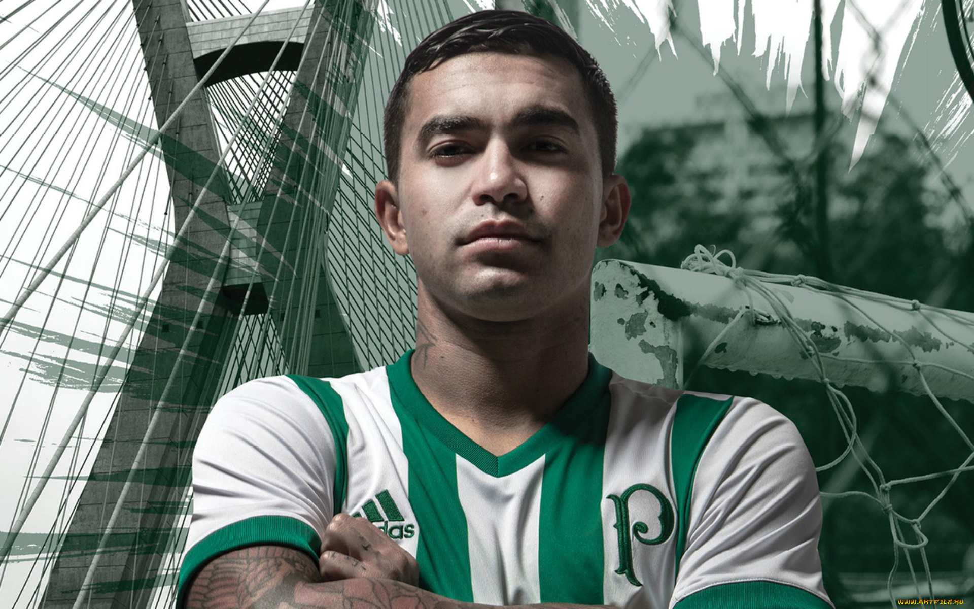 dudu, спорт, футбол, бразильский, футболист, se, palmeiras, эдуардо, перейра, родригес, бразильская, серия, а, fc, бразилия