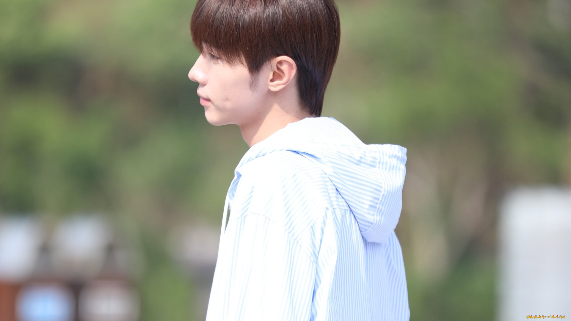 мужчины, song, ji, yang, сун, цзиян, китайский, актёр, певец