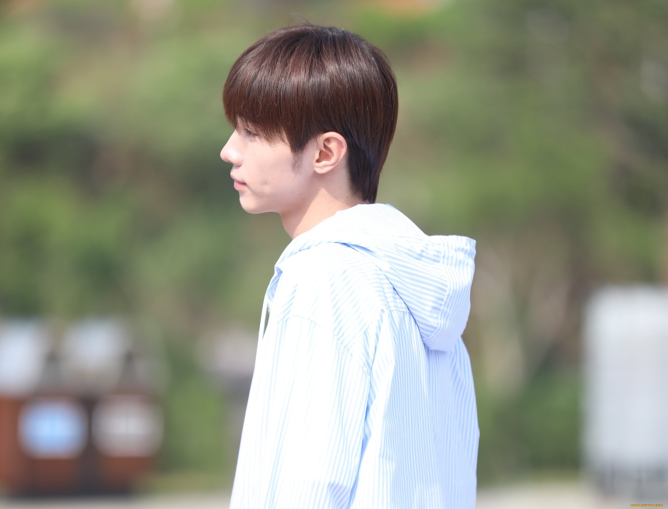 мужчины, song, ji, yang, сун, цзиян, китайский, актёр, певец