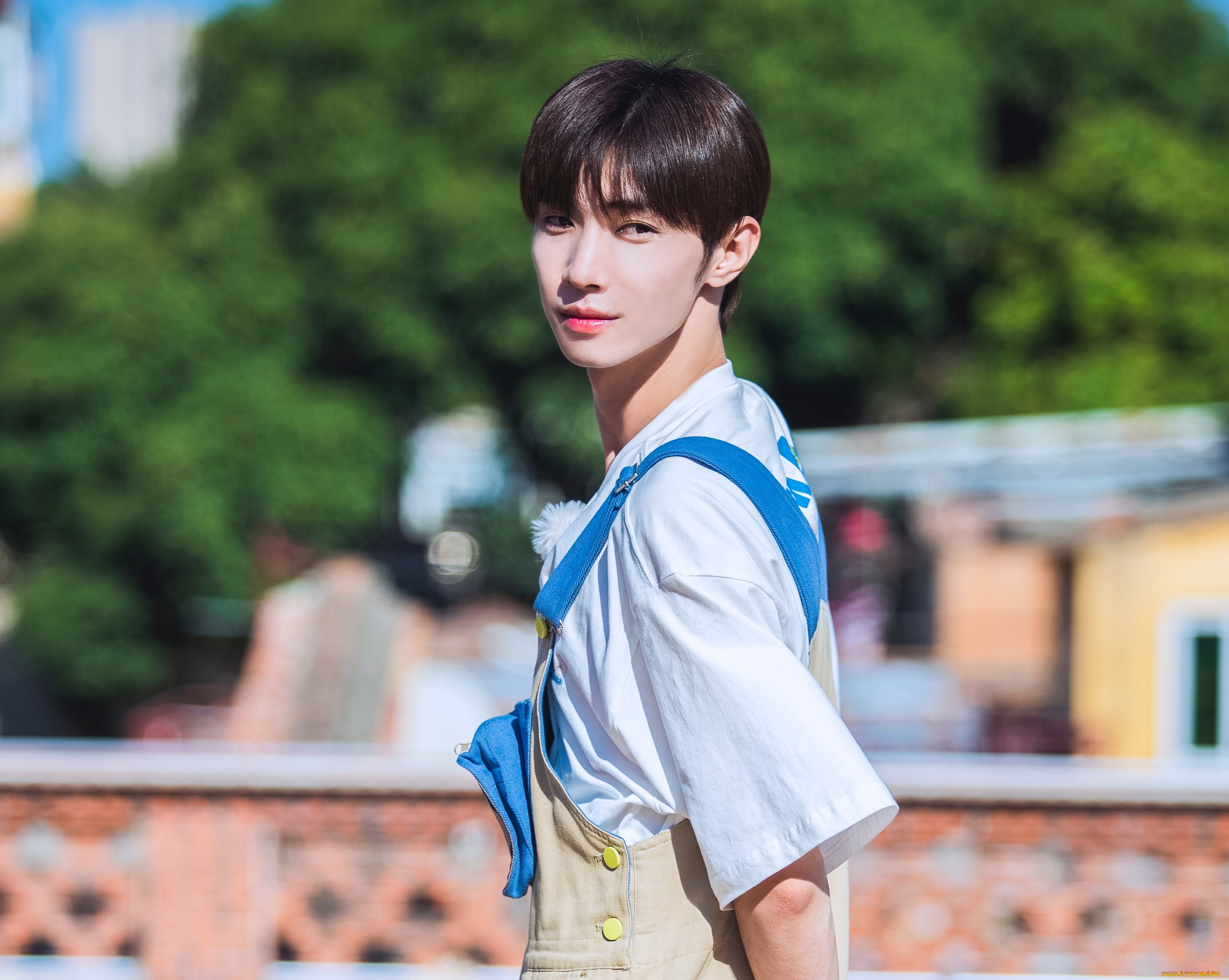 мужчины, song, ji, yang, сун, цзиян, китайский, актёр, певец