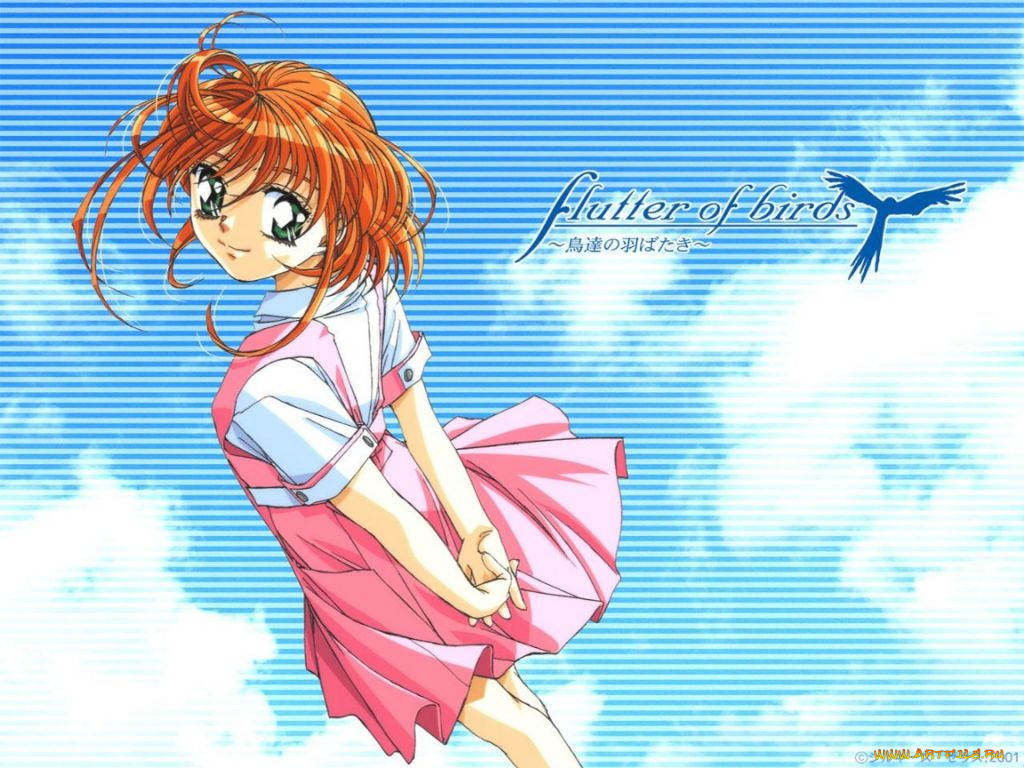 аниме, flutter, of, birds