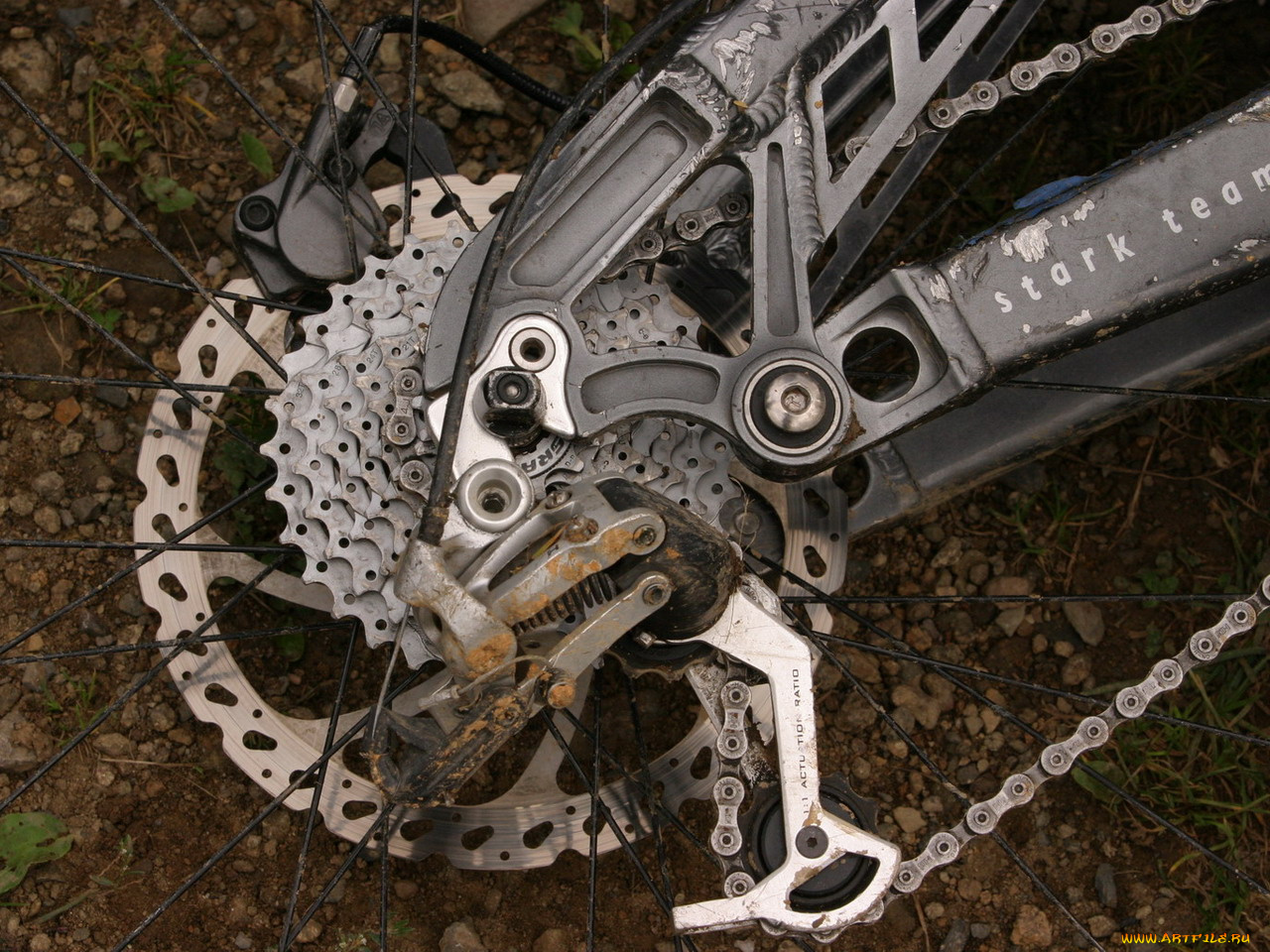 спорт, велоспорт