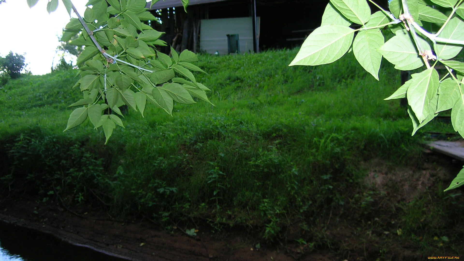 пейзаж, природа