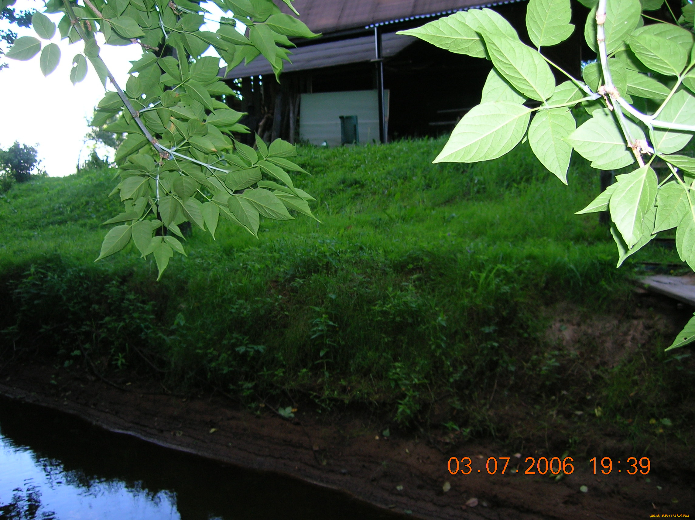 пейзаж, природа