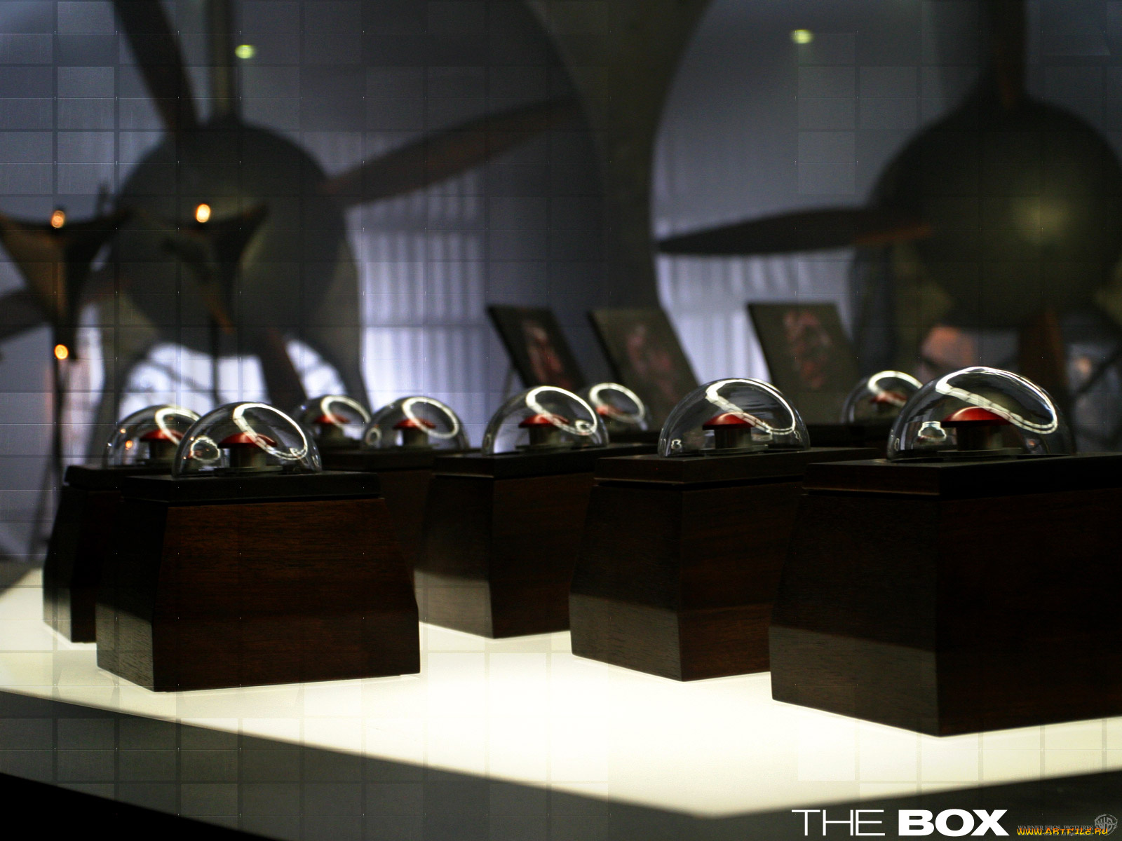 the, box, кино, фильмы