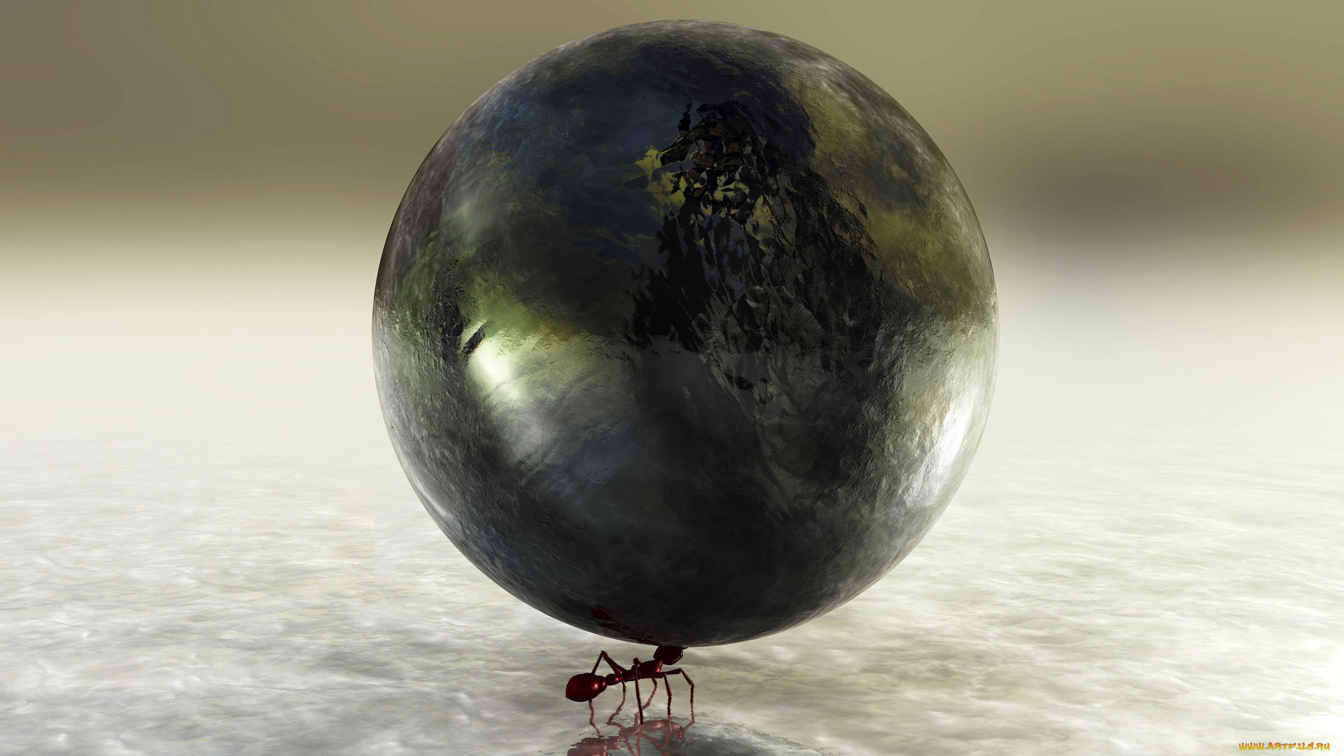 3д, графика, другое, комар, шар