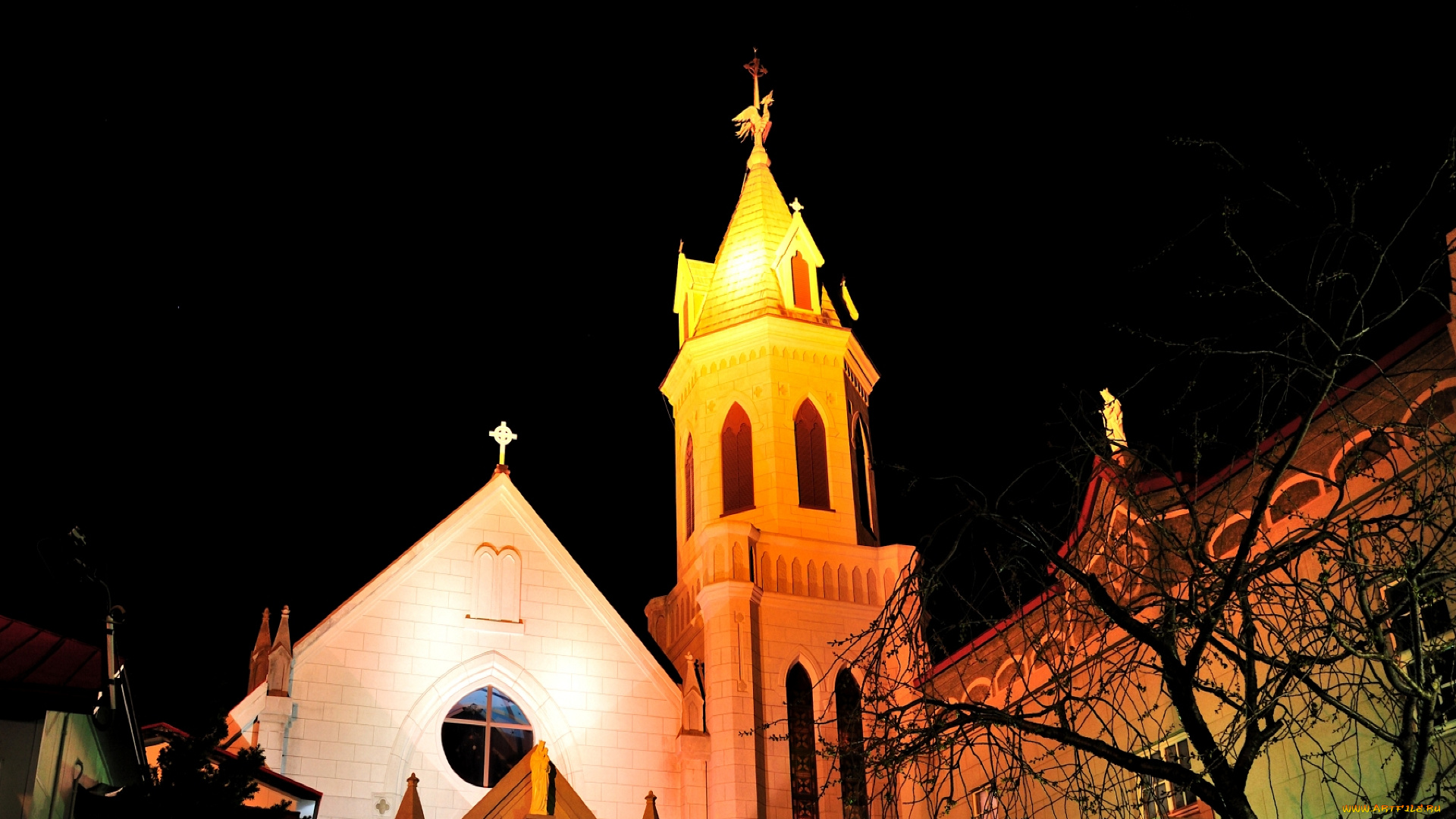 города, католические, соборы, костелы, аббатства, ночь, освещения