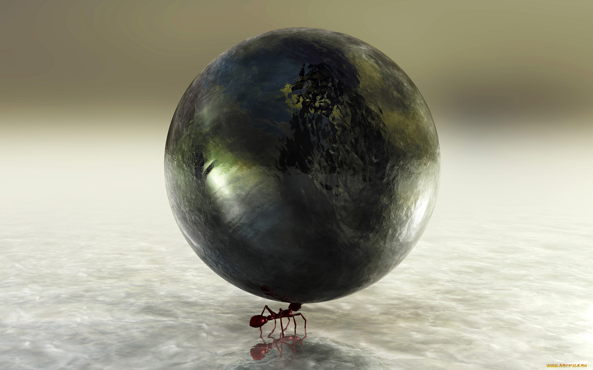 3д, графика, другое, комар, шар