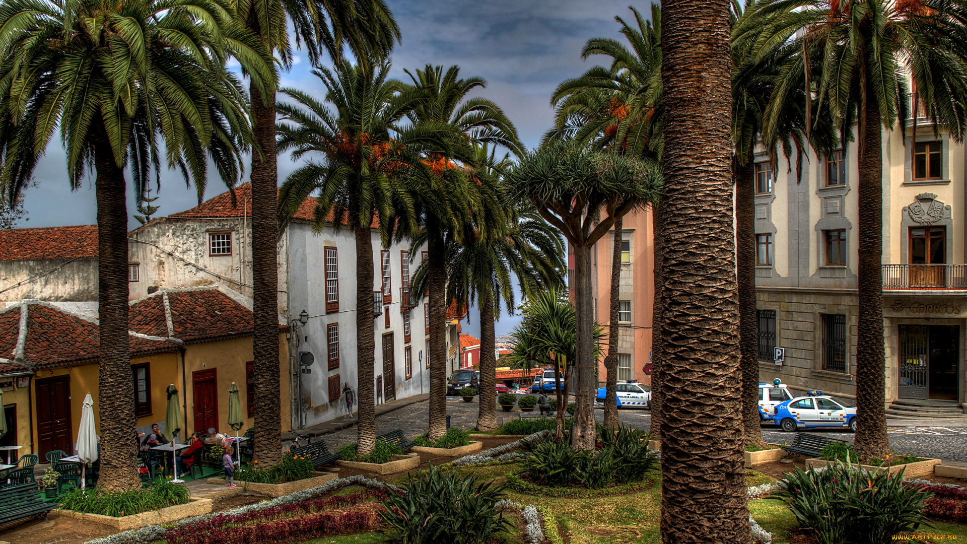 испания, канарские, ва, ла, оротава, города, здания, дома, улица, деревья