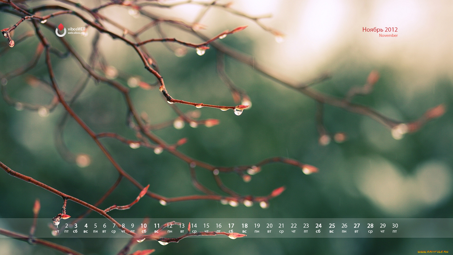 календари, природа, капли, ветки
